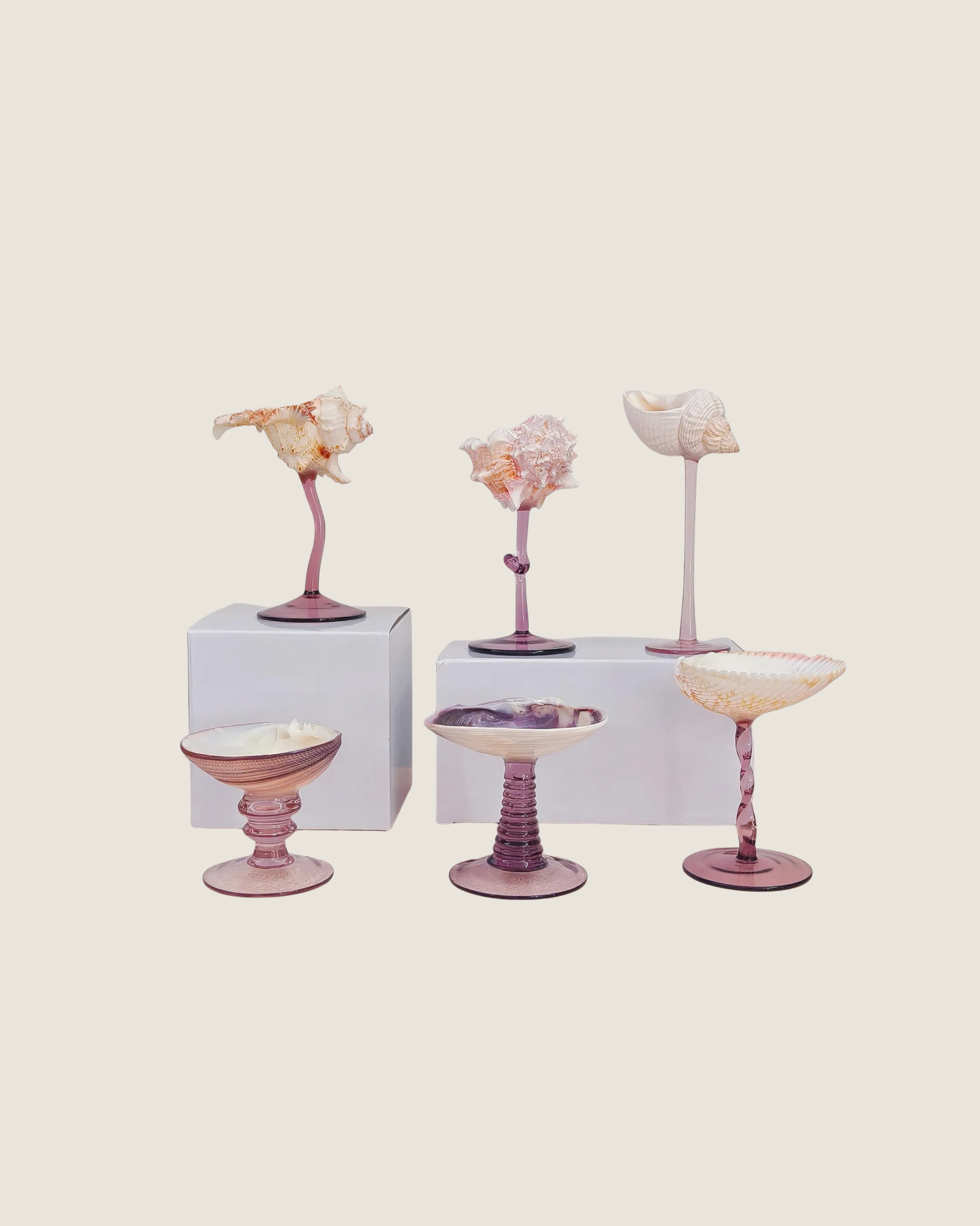 Shell Martini Glasses | $40