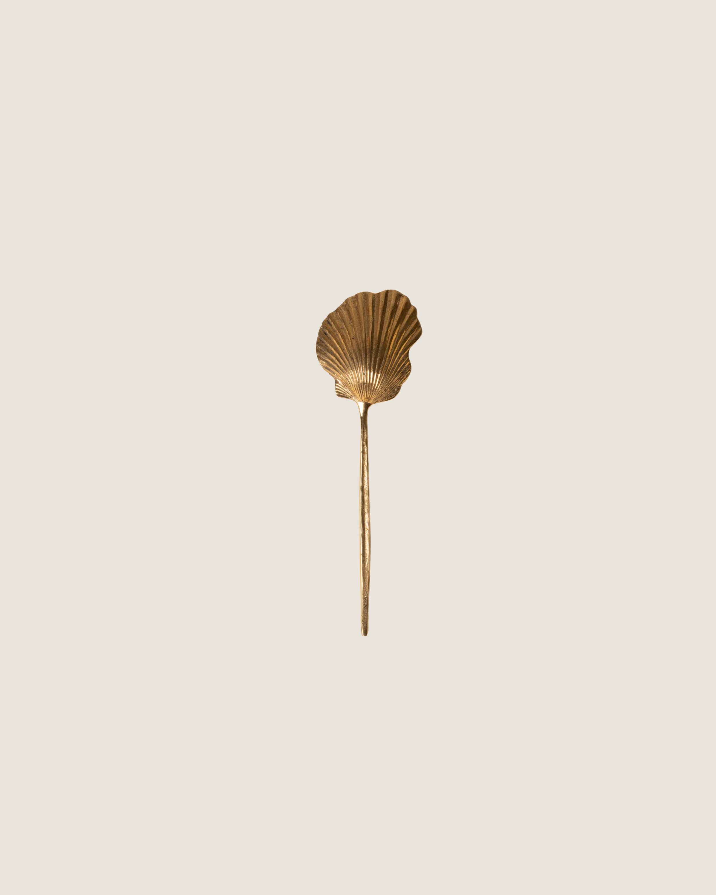 Brass Shell Spoons | $38