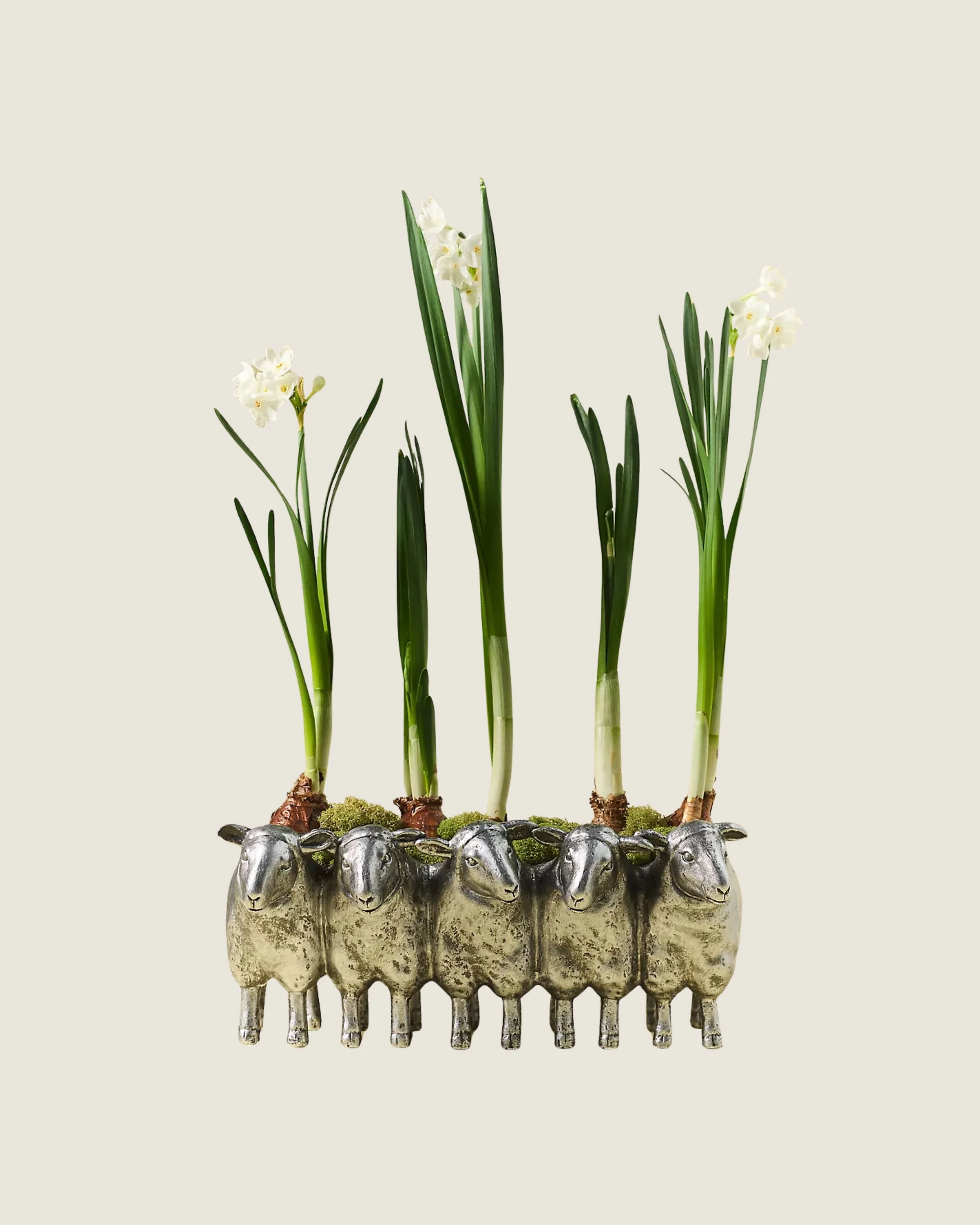 Sheep Resin Pot | $54