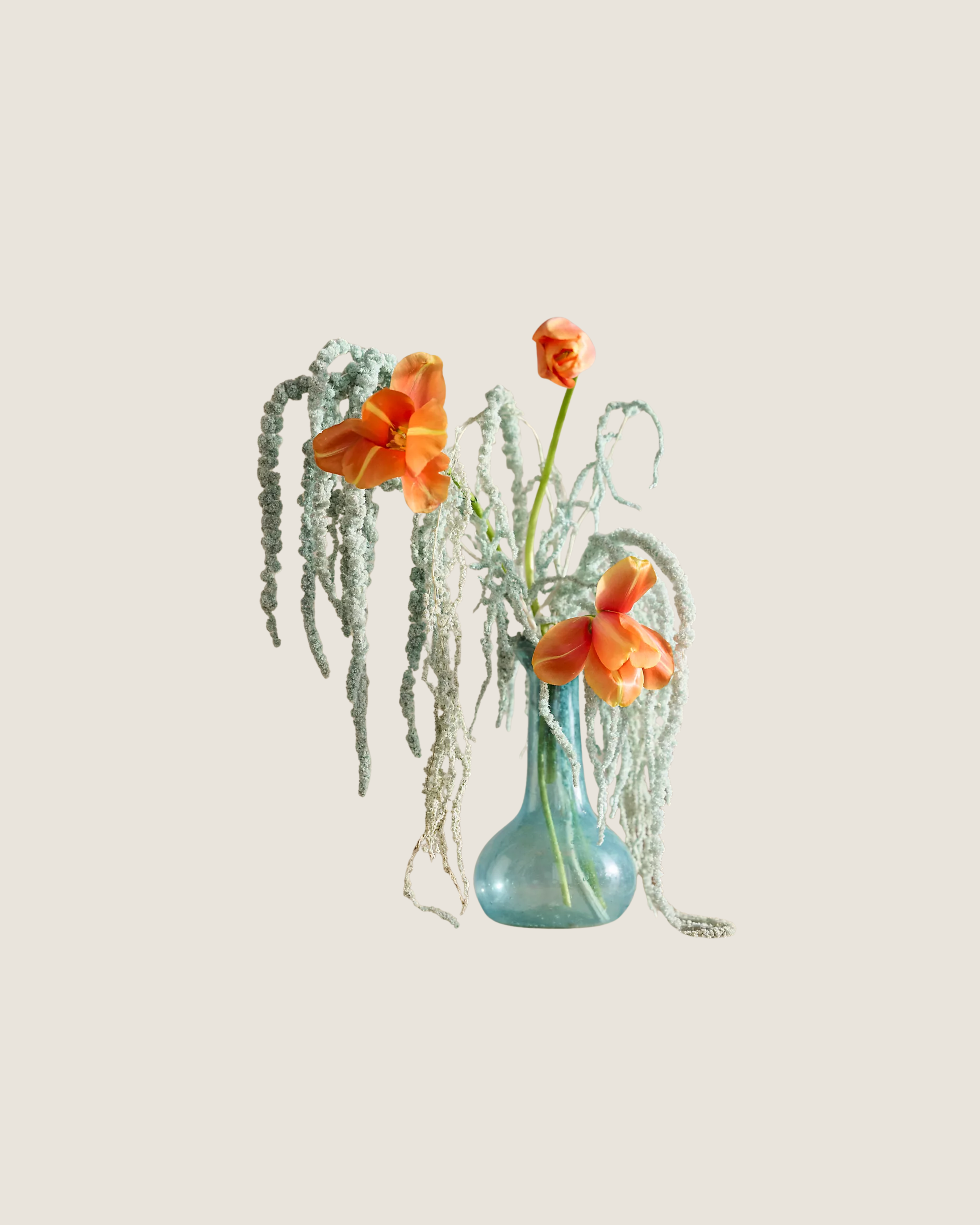 Preserved Hanging Amaranth Bunch | $48
