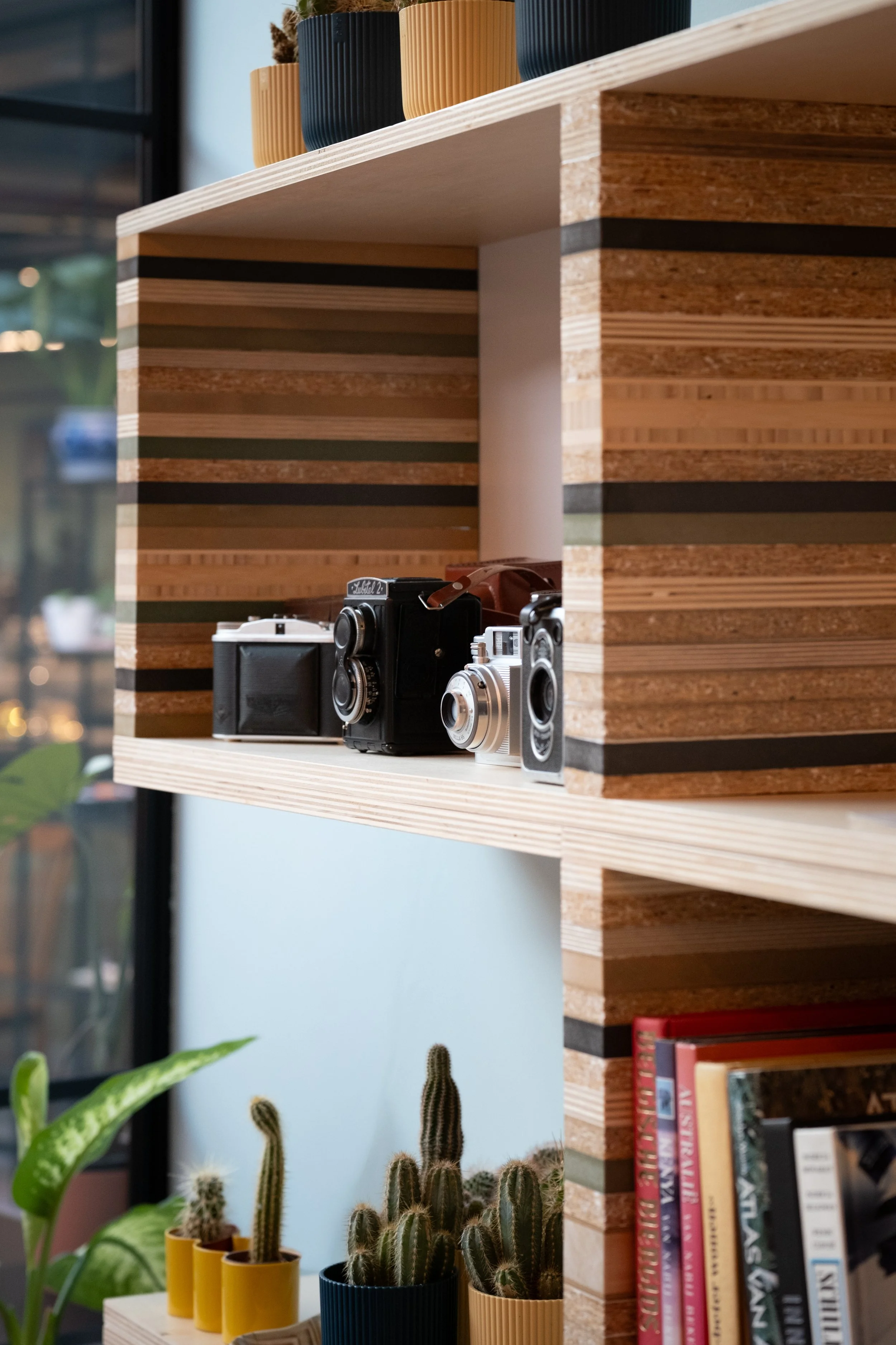 Decorative interior shelf with potted cacti, vintage cameras, and books.