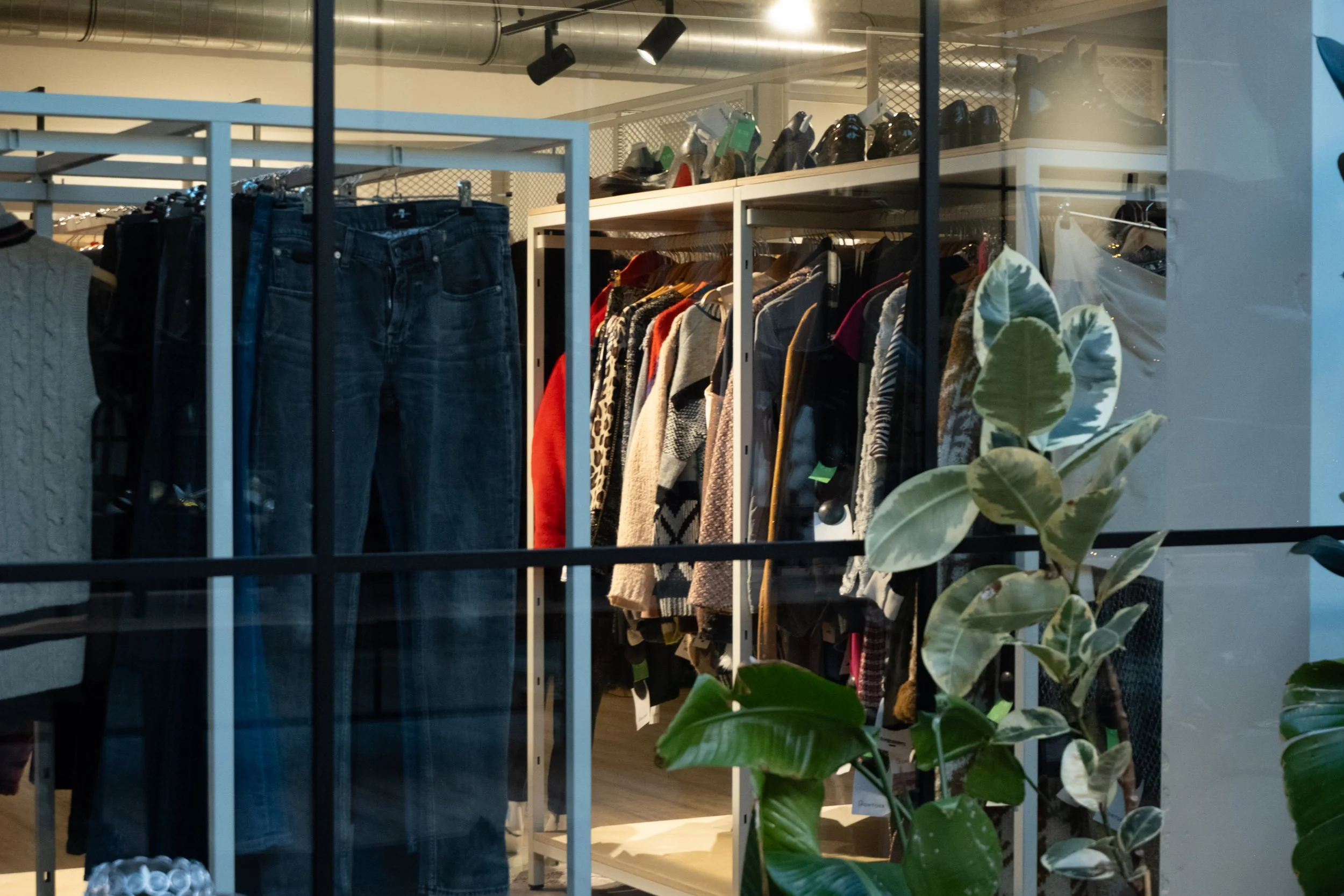 A retail clothing store display featuring jeans, dresses, and sweaters, with plants and shoes on upper shelves behind the glass window.