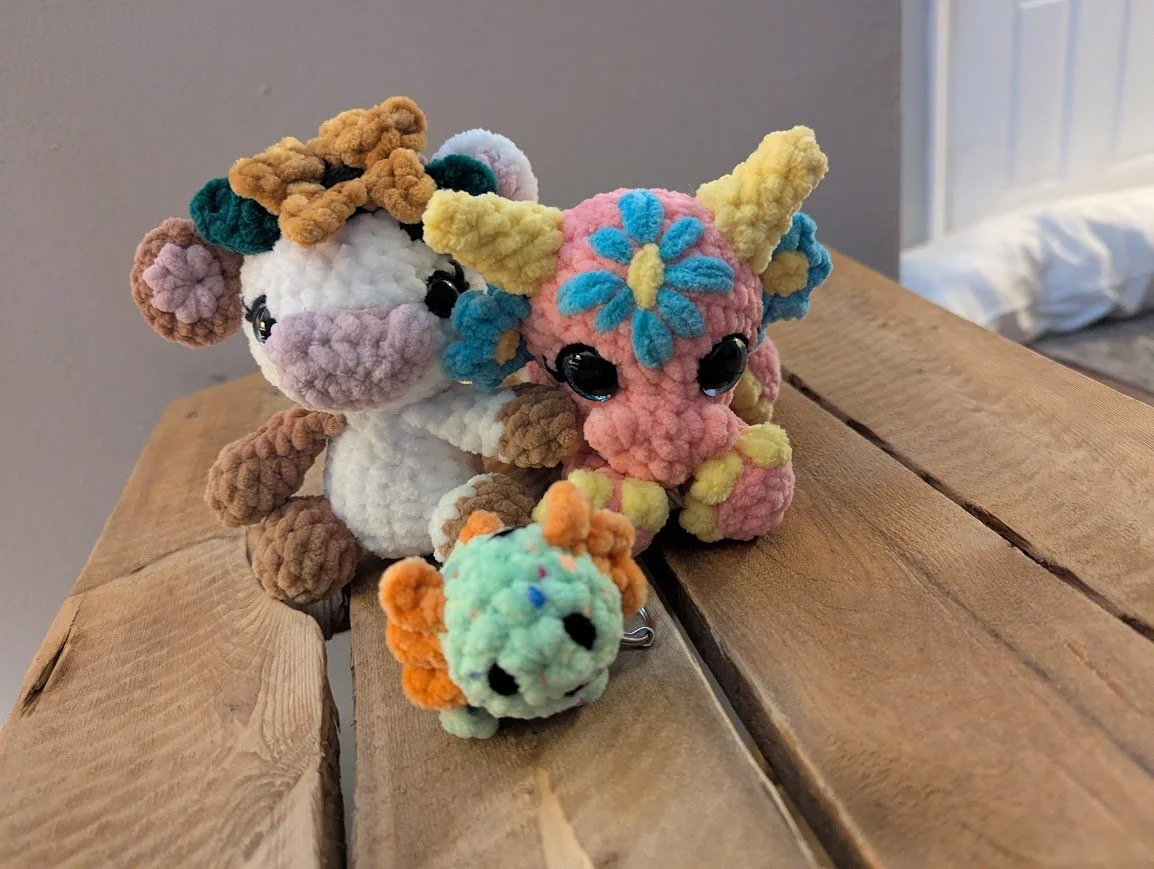 Photo Gallery bundle.jpg