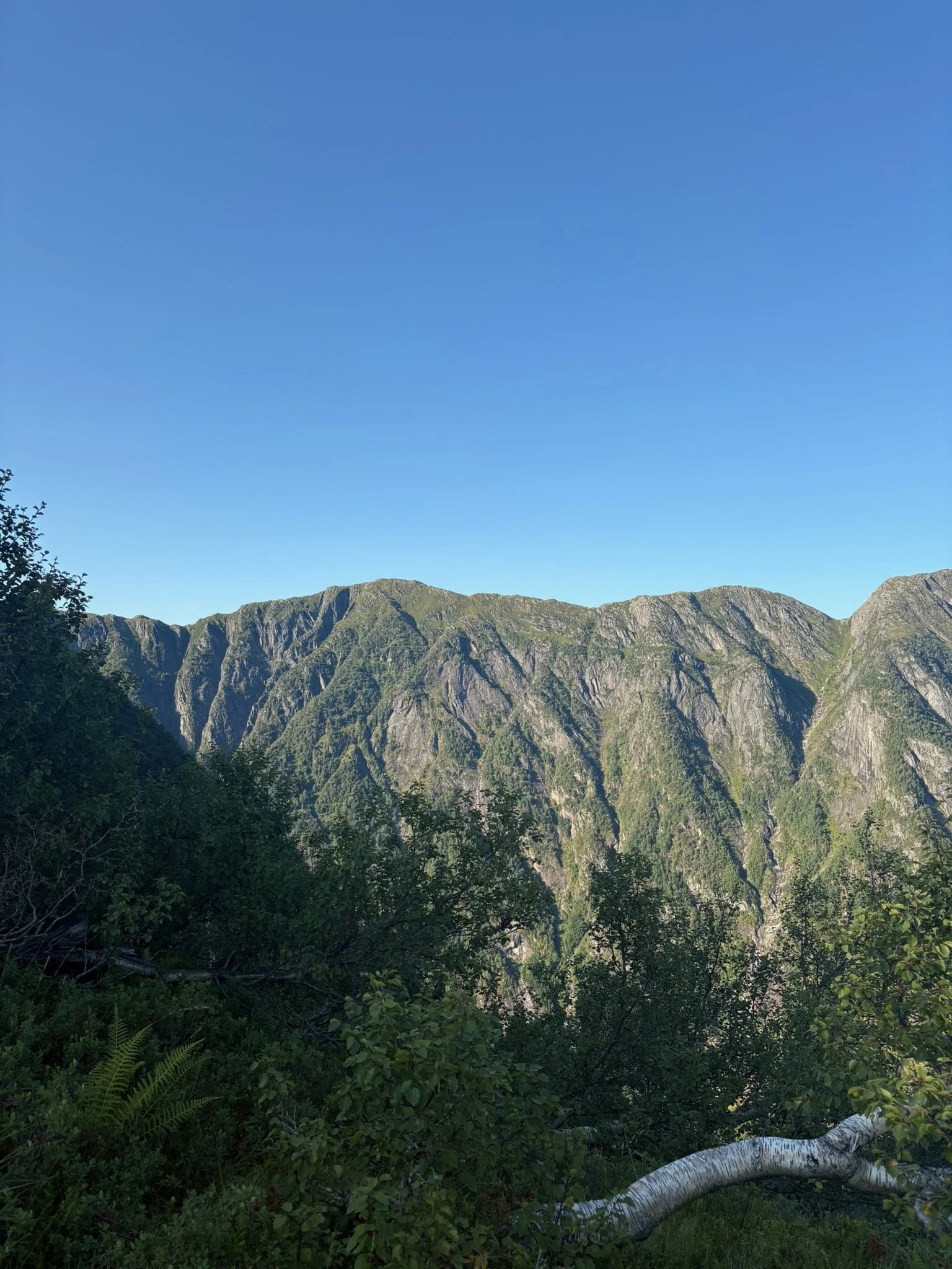Scenic view of a mountain range with lush green slopes and a clear blue sky overhead.