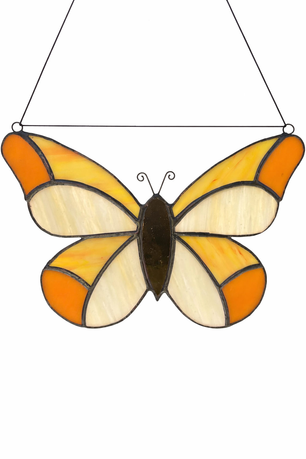 IMG_6584.png