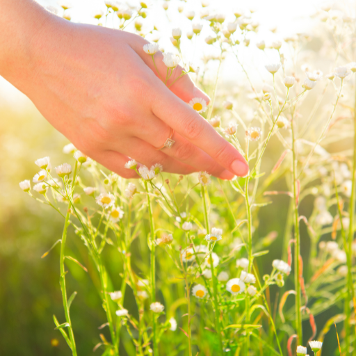 Why Is Scratch Therapy Soft, Light Touch, and Nurturing?