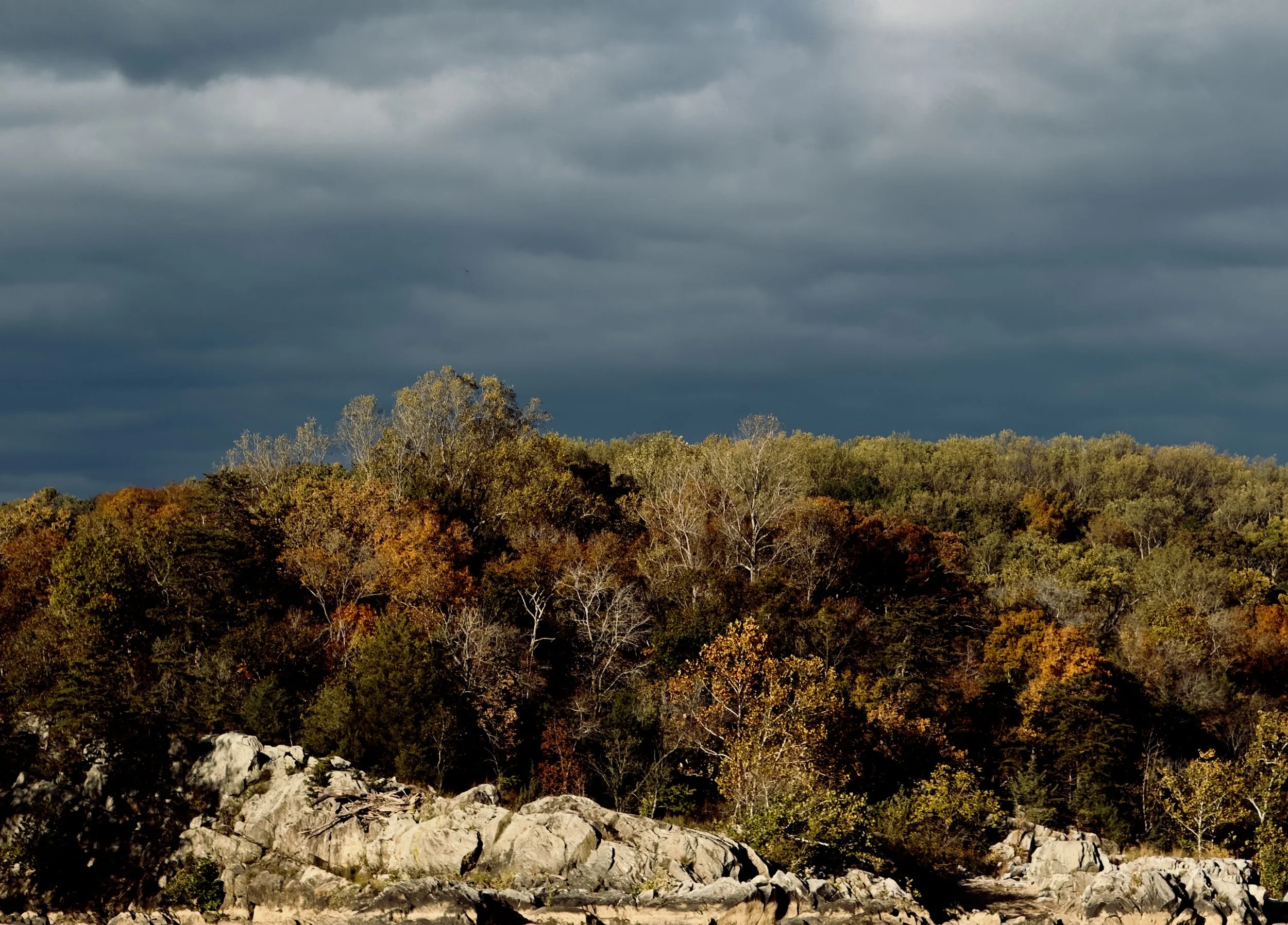 A landscape with a rocky foreground and a dense forest with trees in fall colors. Dark, stormy clouds cover the sky.