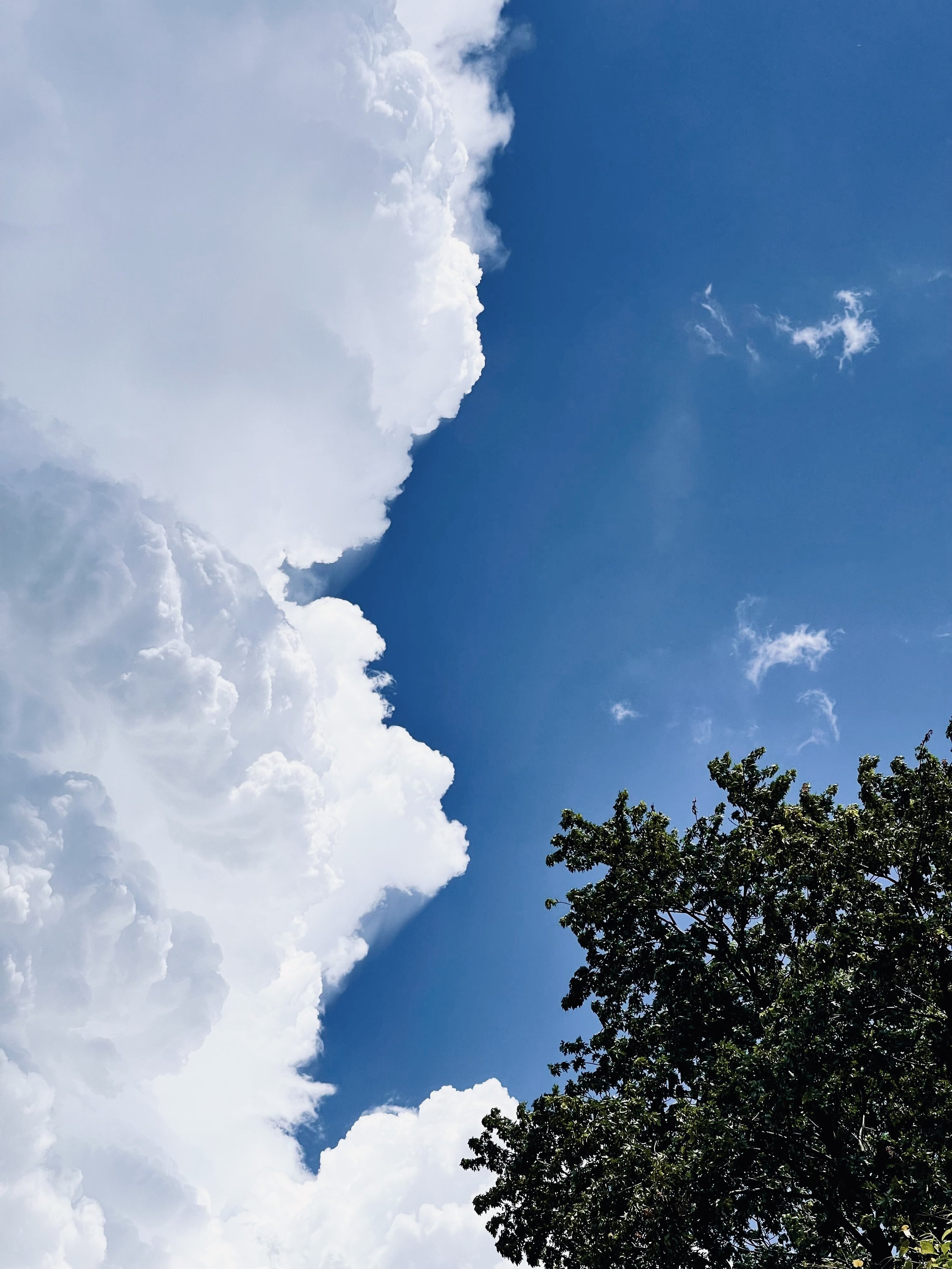 Blue sky with white clouds and a tree in the bottom right corner.