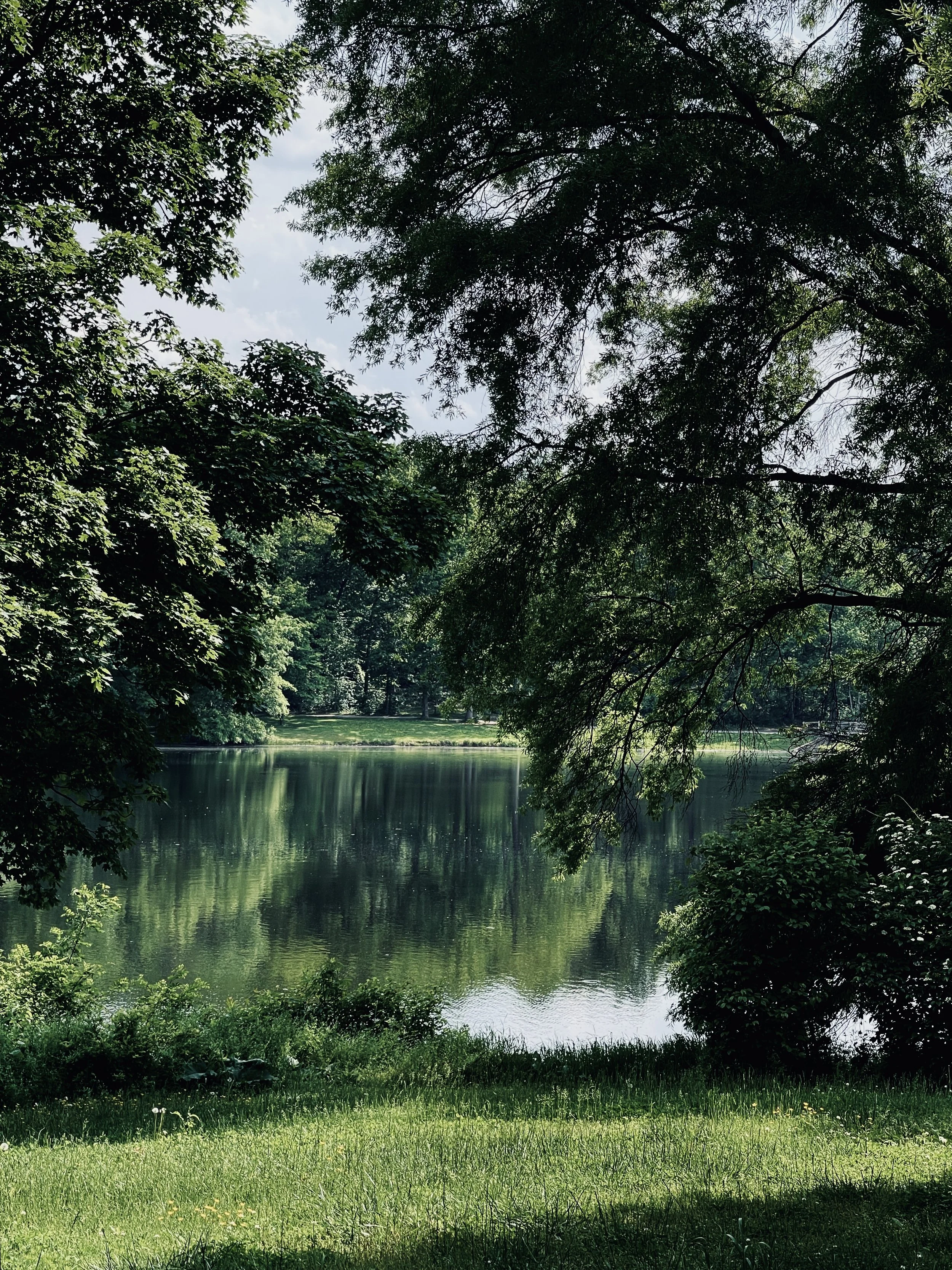 A peaceful lakeside scene with green trees overhanging the water, reflecting the surrounding foliage on the calm lake surface, and a grassy bank in the foreground.