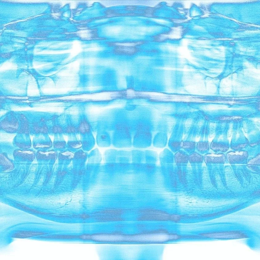 In Ghosts Mind