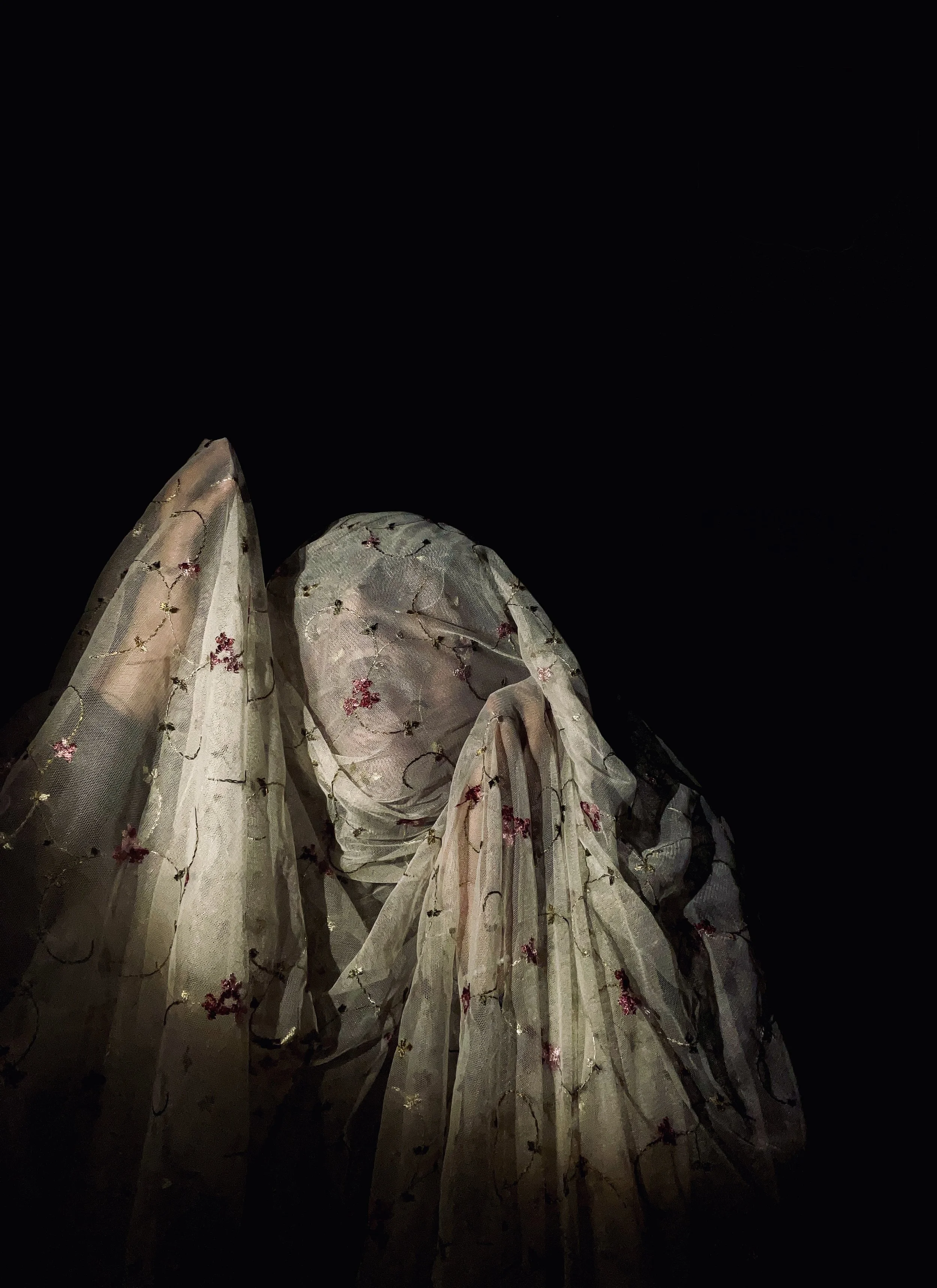 A person covered in a sheer, embroidered fabric with floral patterns, set against a dark background.