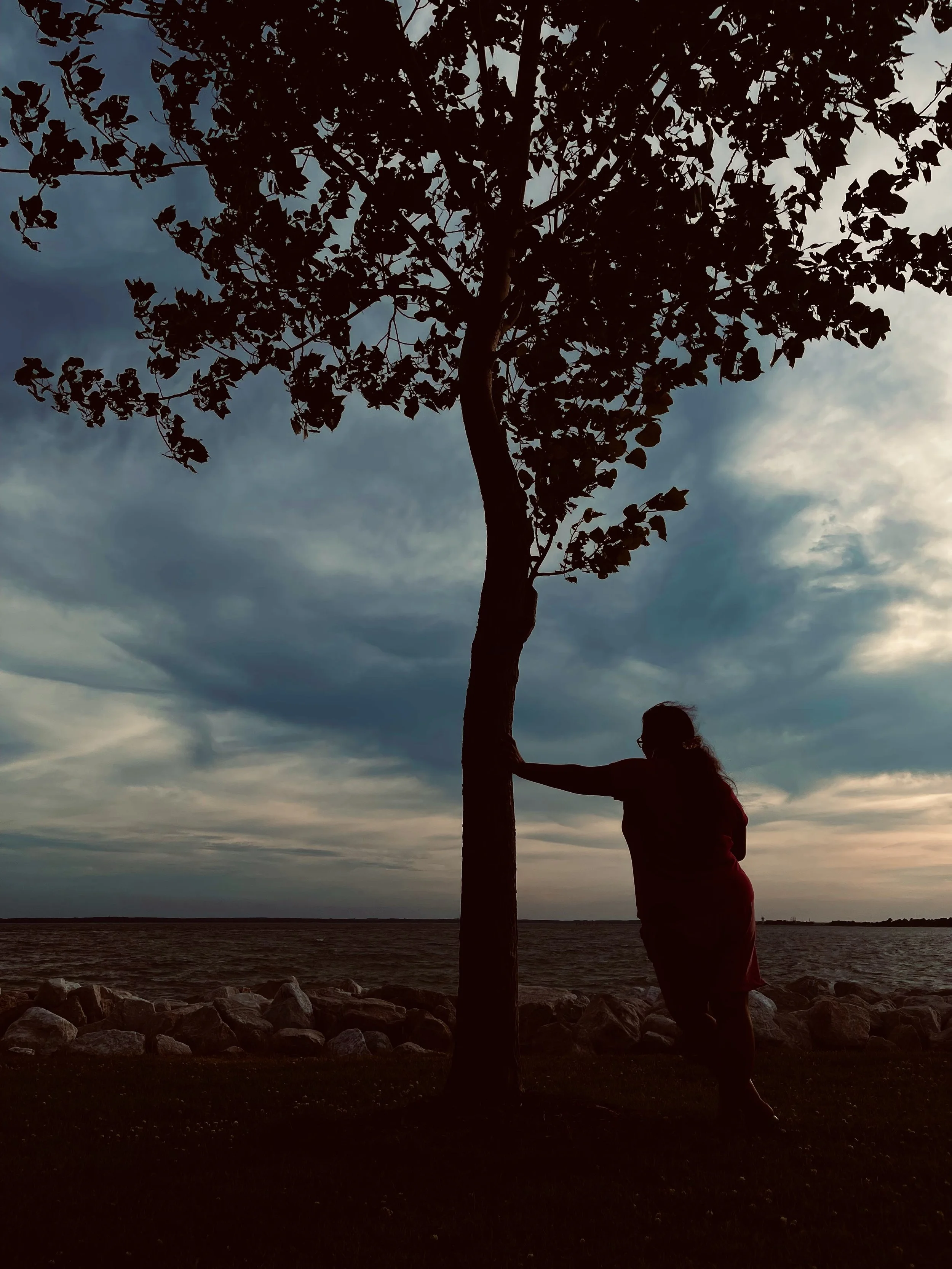 Silhouette of a person hugging a tree near a body of water during sunset or dusk, with a cloudy sky overhead.