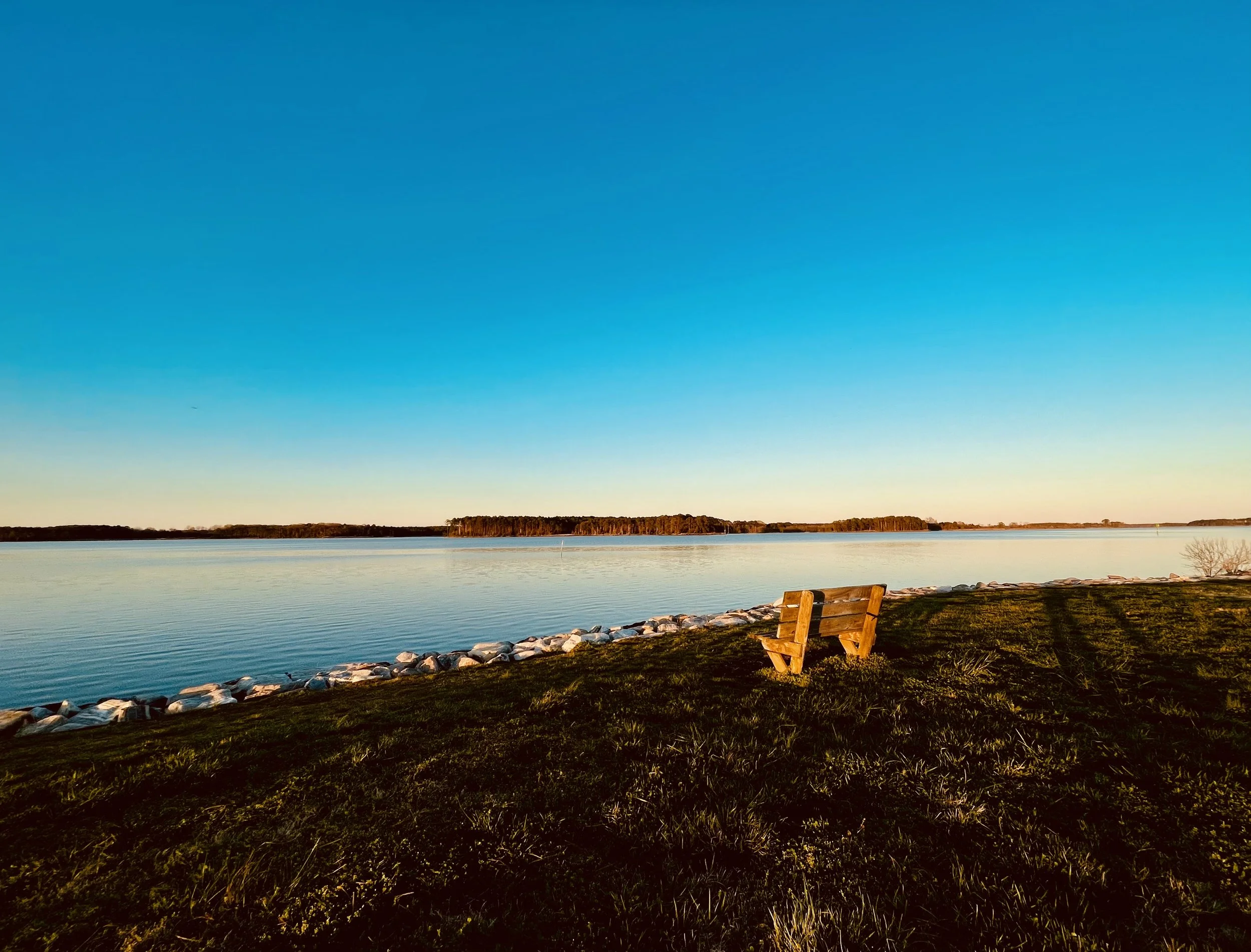 A wooden bench on grassy land by a calm lake with trees in the distance under a blue sky.