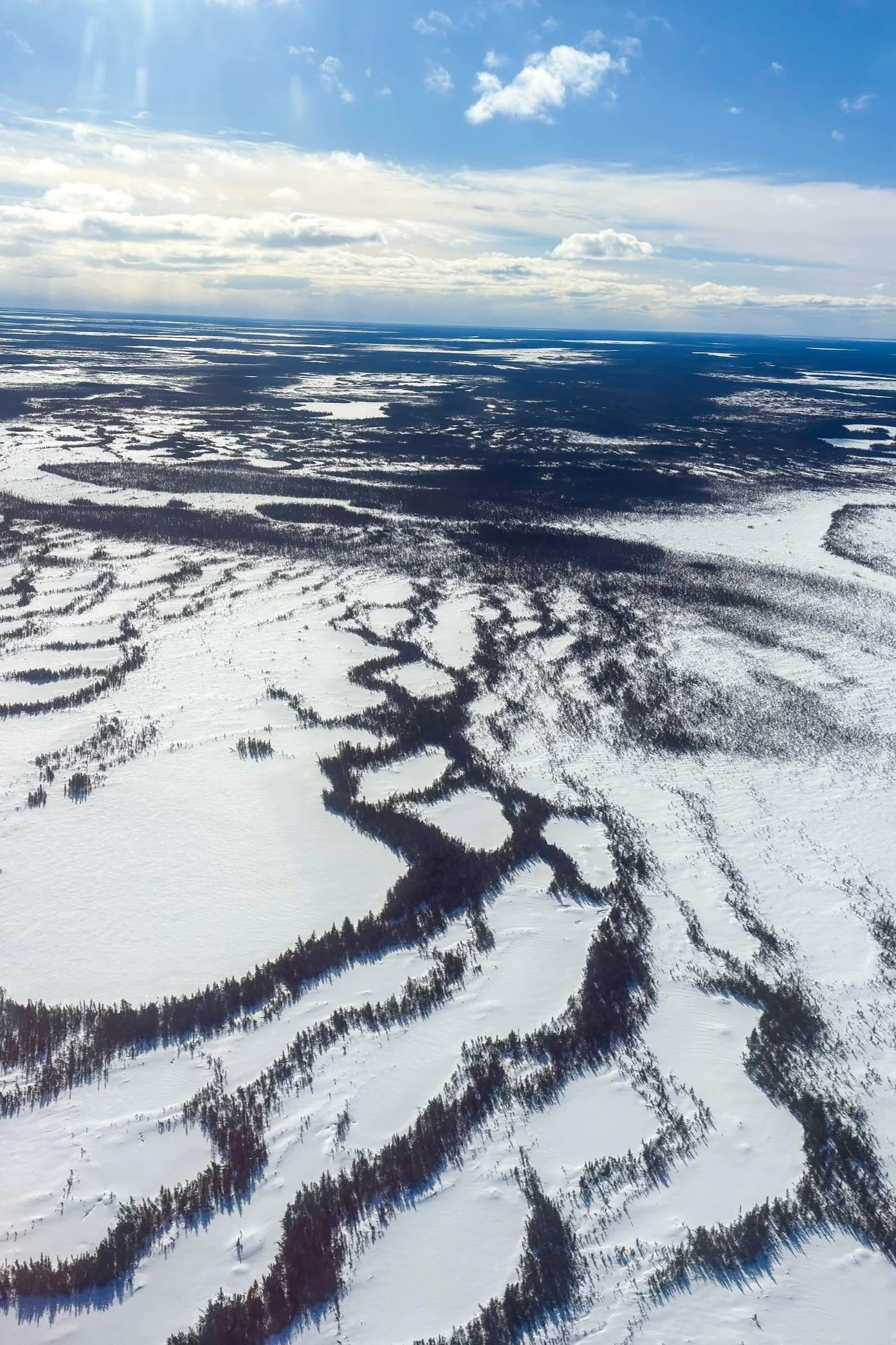 Aerial view of snow-covered landscape with frozen lakes and numerous trees in winter.