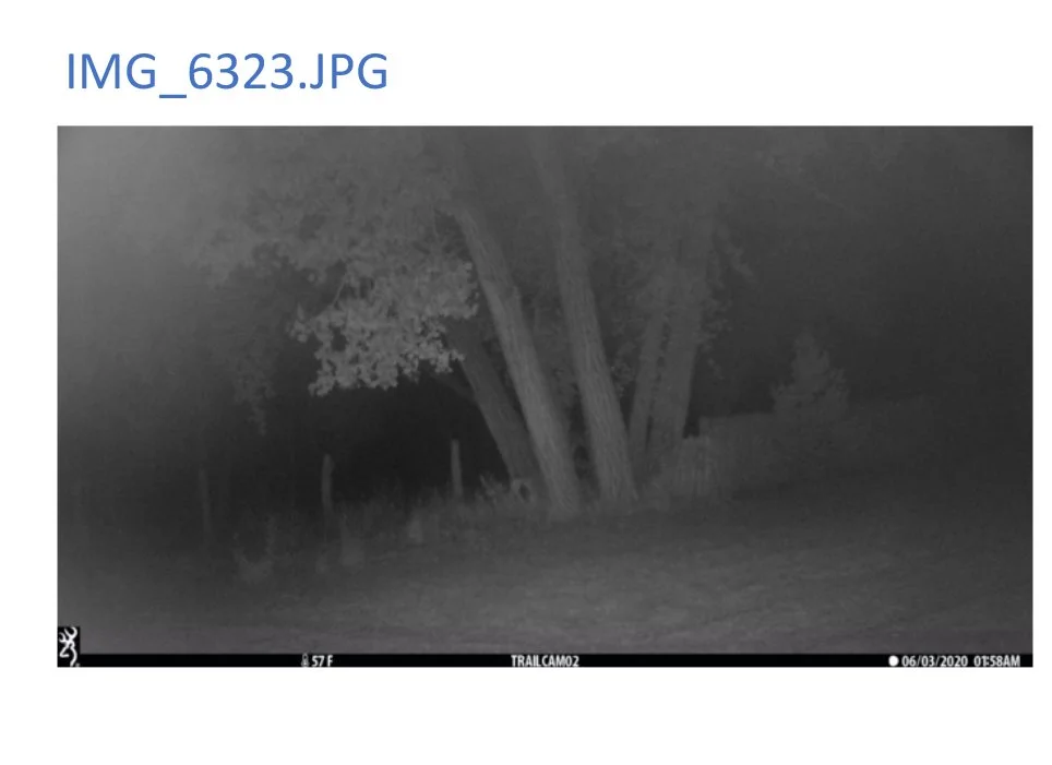 401_1_VPR IR Data Summary Sheet IMGs_2343-6231-6322-6323.jpg