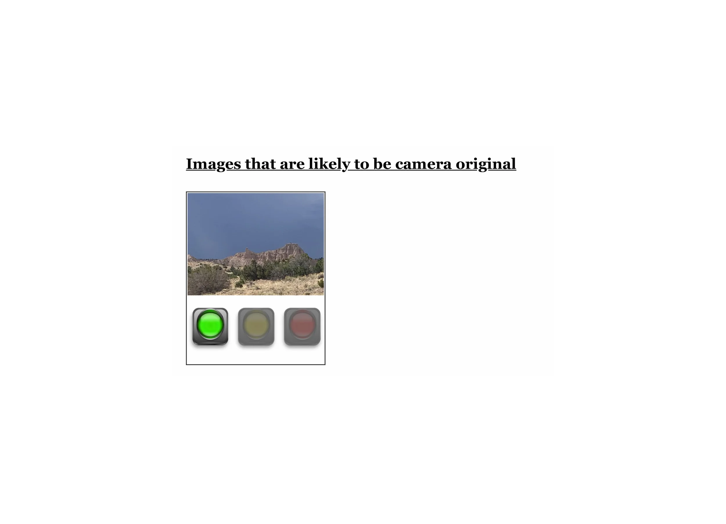 03IMG_8972 Smart Report.jpg