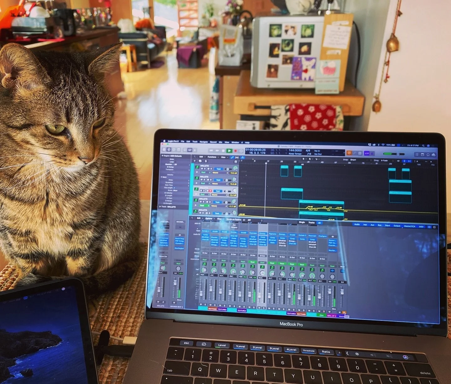 &ldquo;Environments for a Burning Planet&rdquo; I,II,III were composed in multiple locations on different systems - DTLA in my Arts District studio; at home in Highland Park -both at the kitchen table and studio; while teaching in Chicago in a hotel&