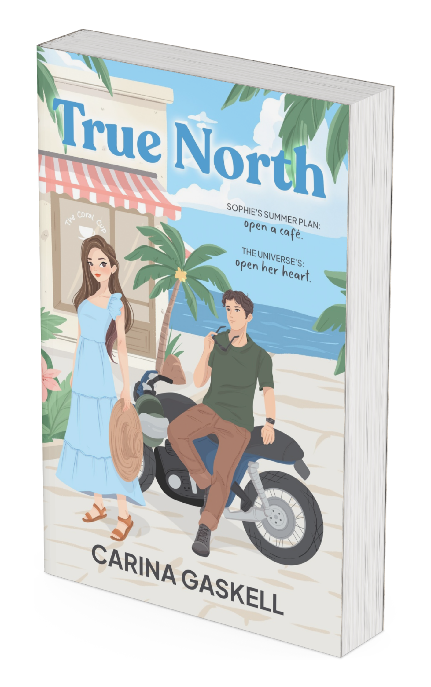 True North (Invincible Summer #1)