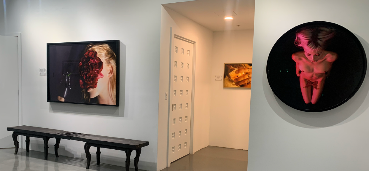 Screenshot 2026-01-29 at 4.31.44 PM.png