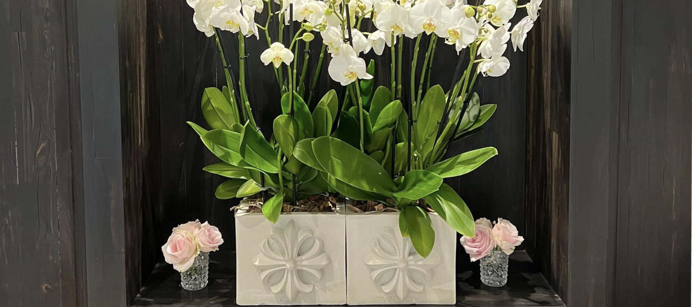 Screenshot 2026-01-09 at 4.16.54 PM.png