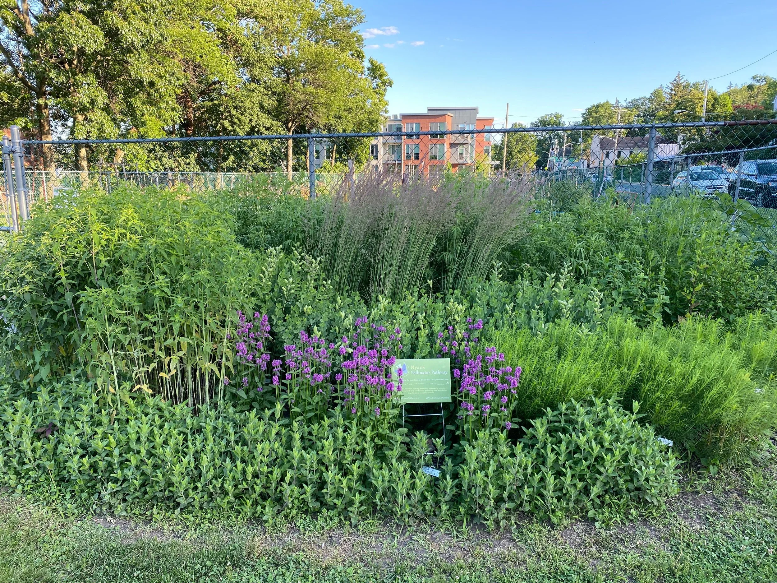 Community Garden Entrance #map-garden