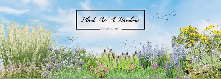 Illustration of a colorful garden with various flowers and plants under a blue sky, with the text "Plant Me A Rainbow designed gardens" in a black frame.