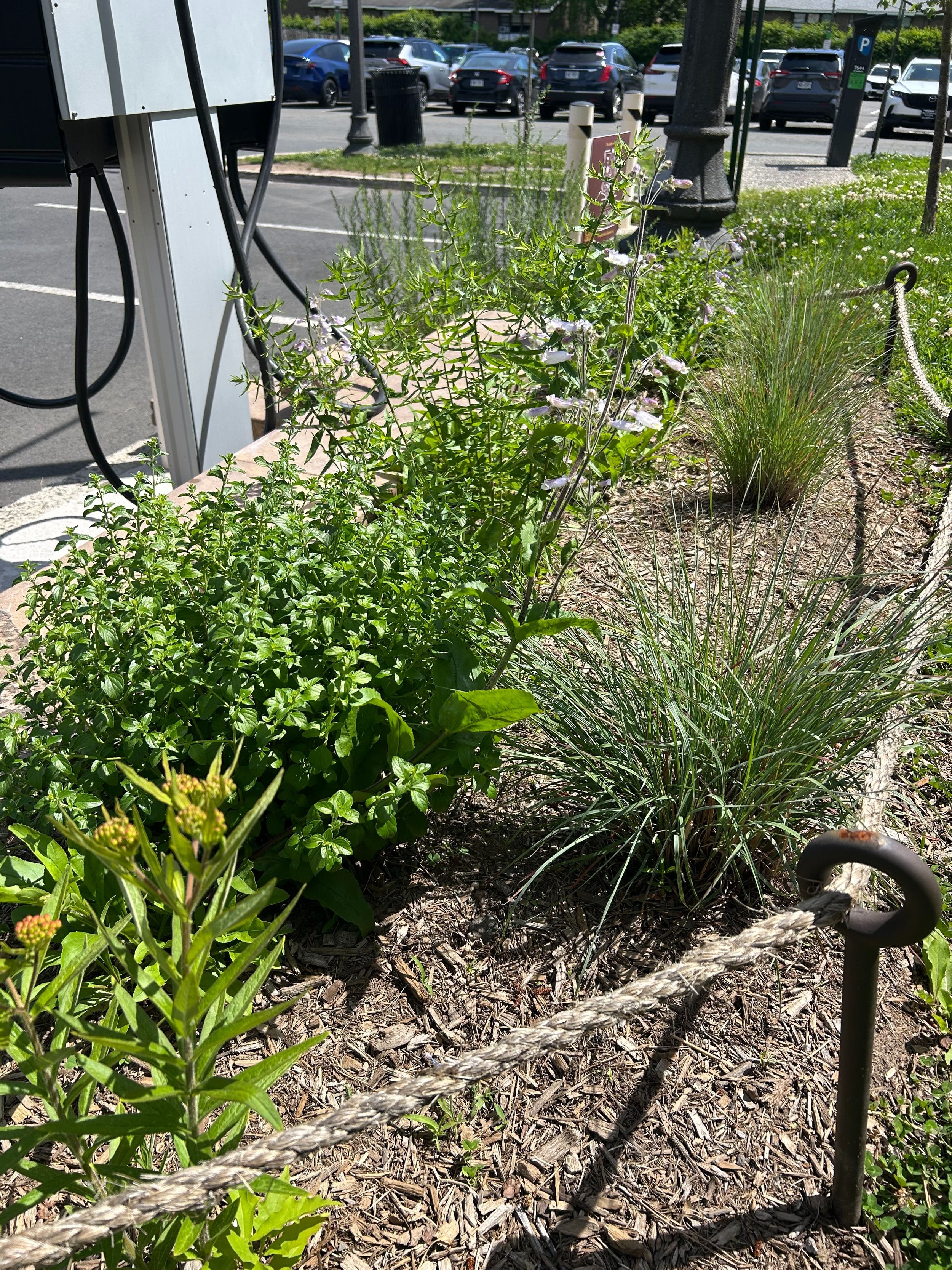 Veterans Park EV Charging Stations #map-charging