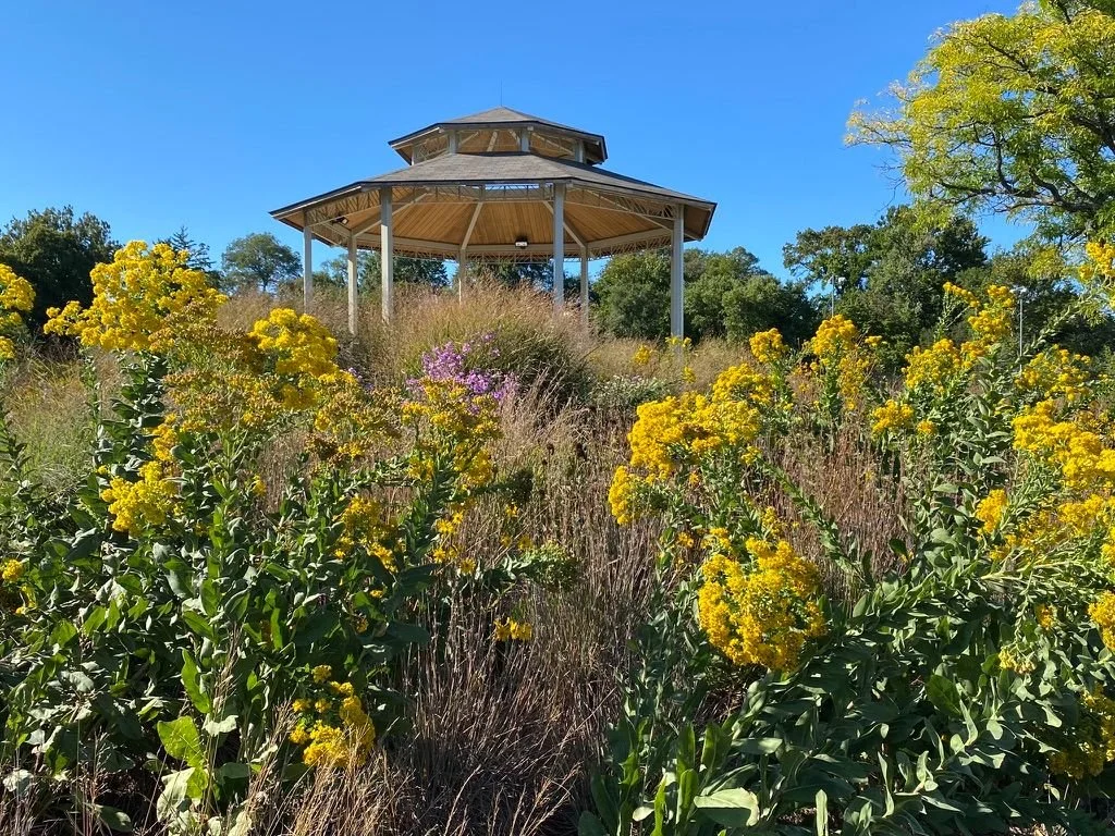 Memorial Park
