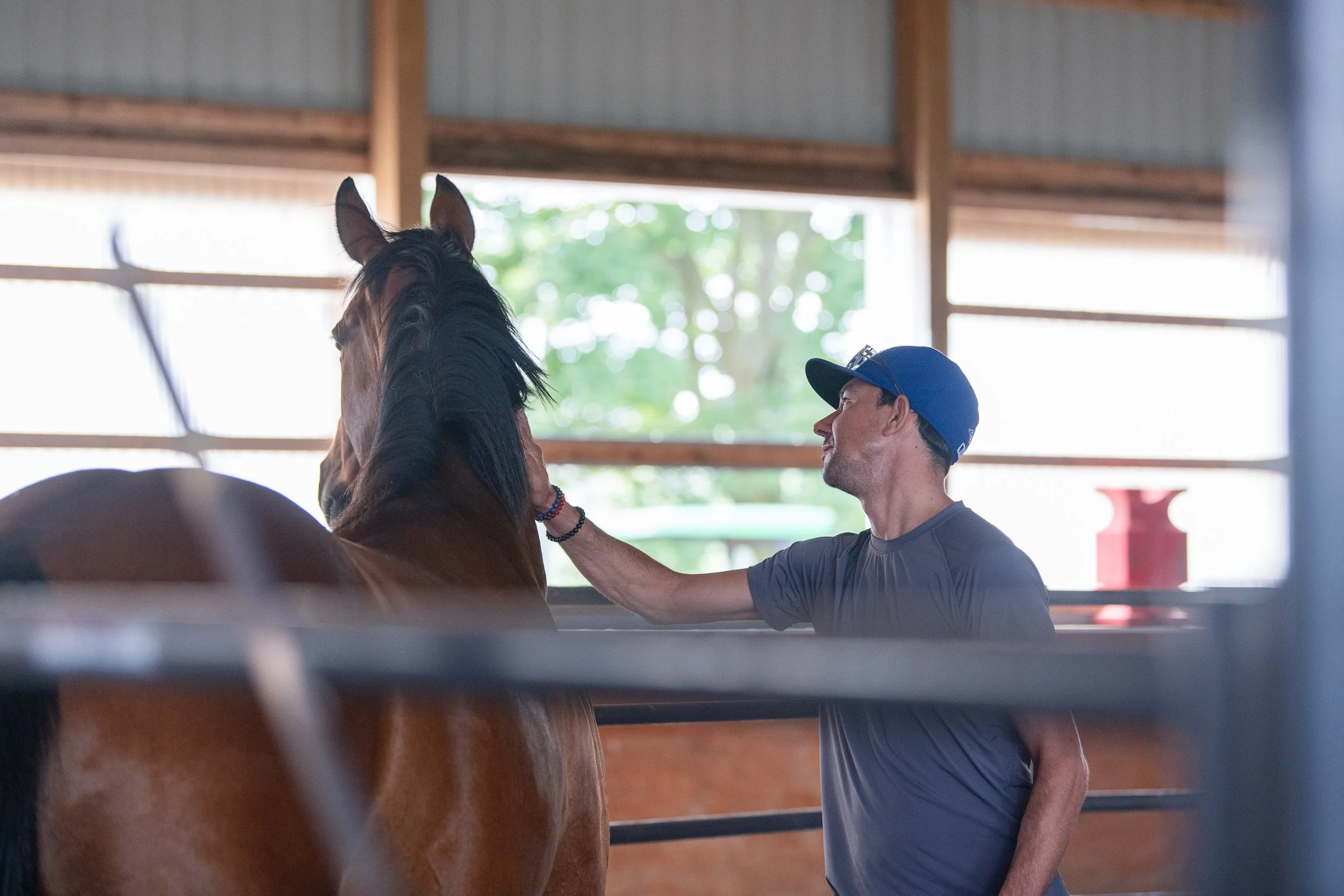 How Horses Can Help Us Break Through the Blocks That Hold Us Back