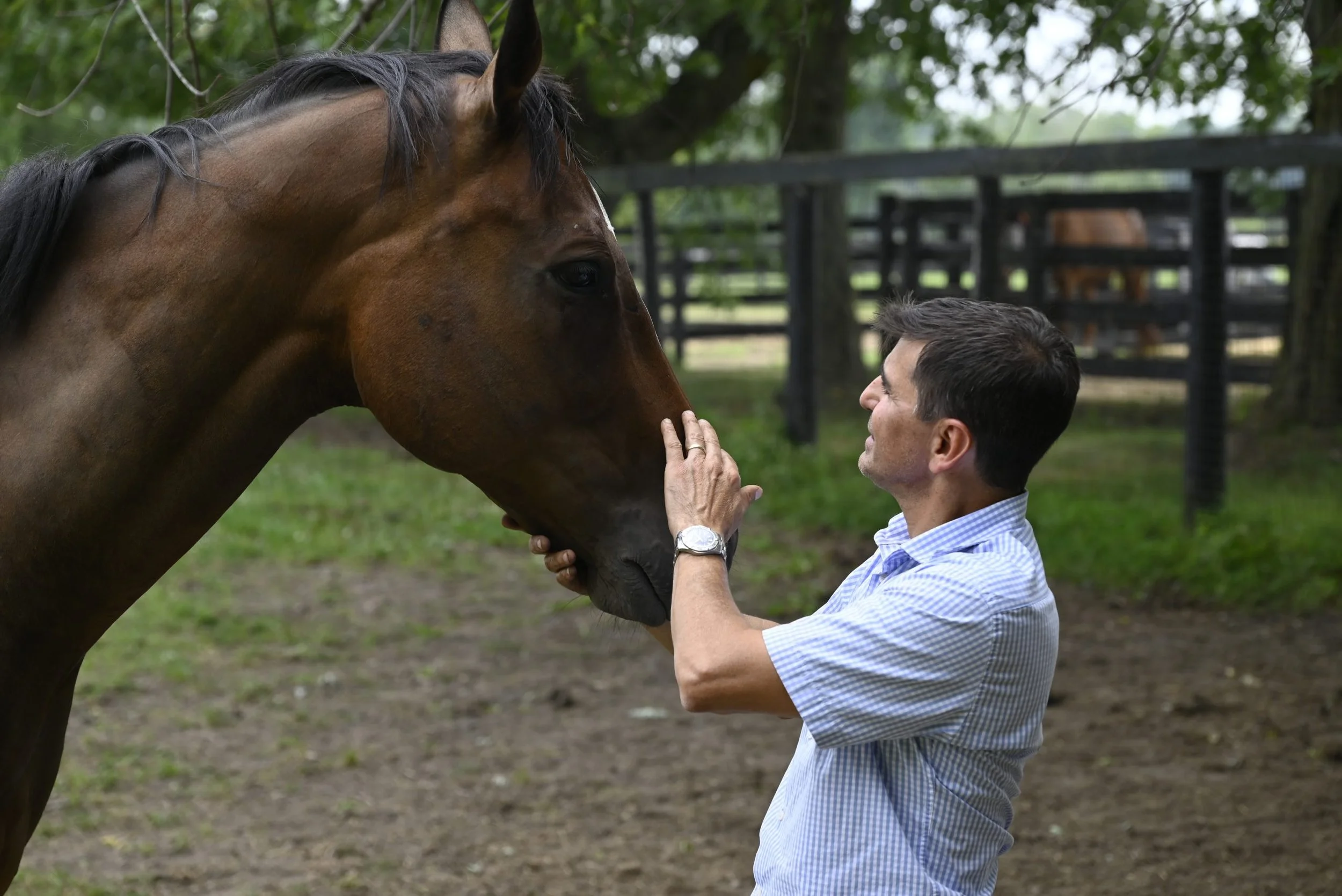 Equine Connection: Unlocking Deeper Awareness and Higher Performance