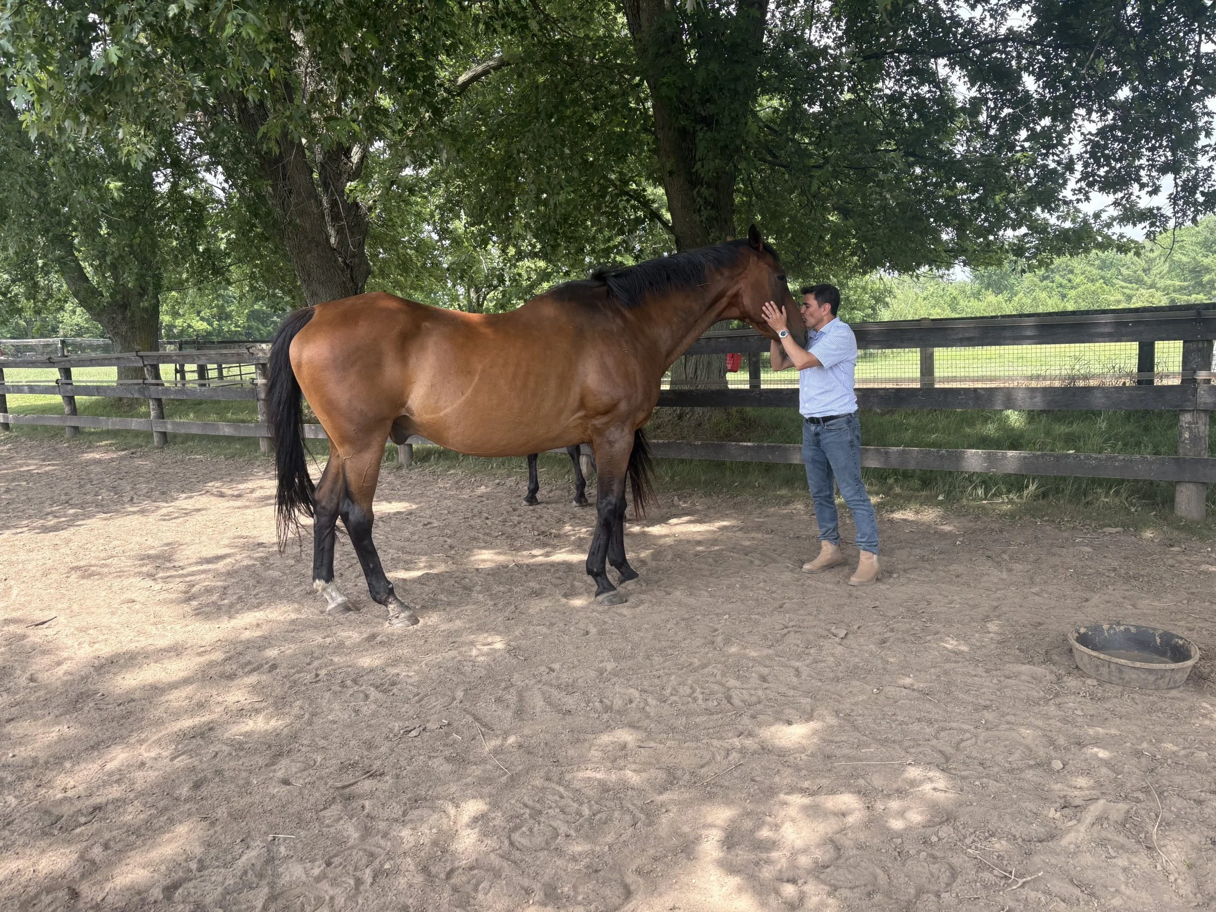 Horses, Inner Power, and Peak Performance: The Science Behind the Transformation