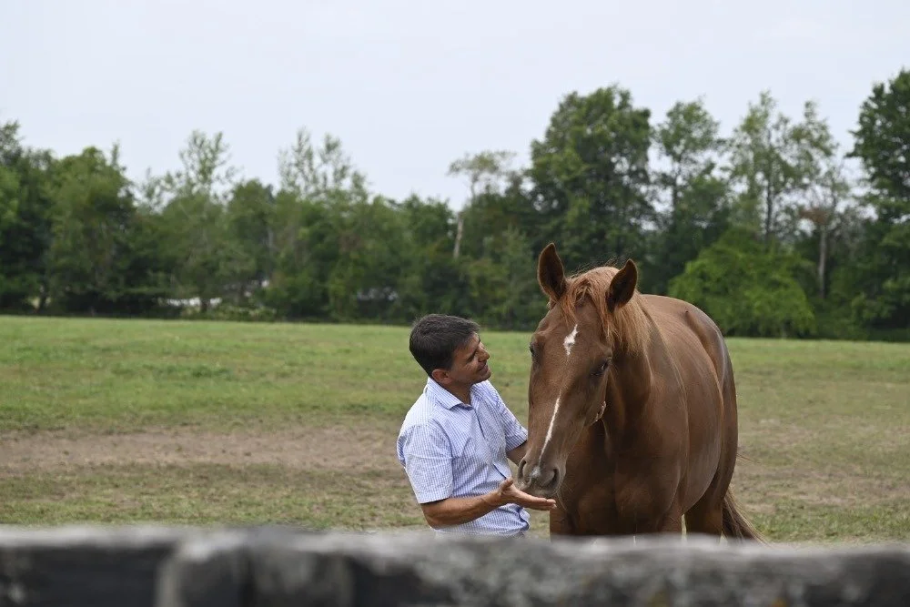 What Horses Teach Us About Authentic Belonging in a Competitive World