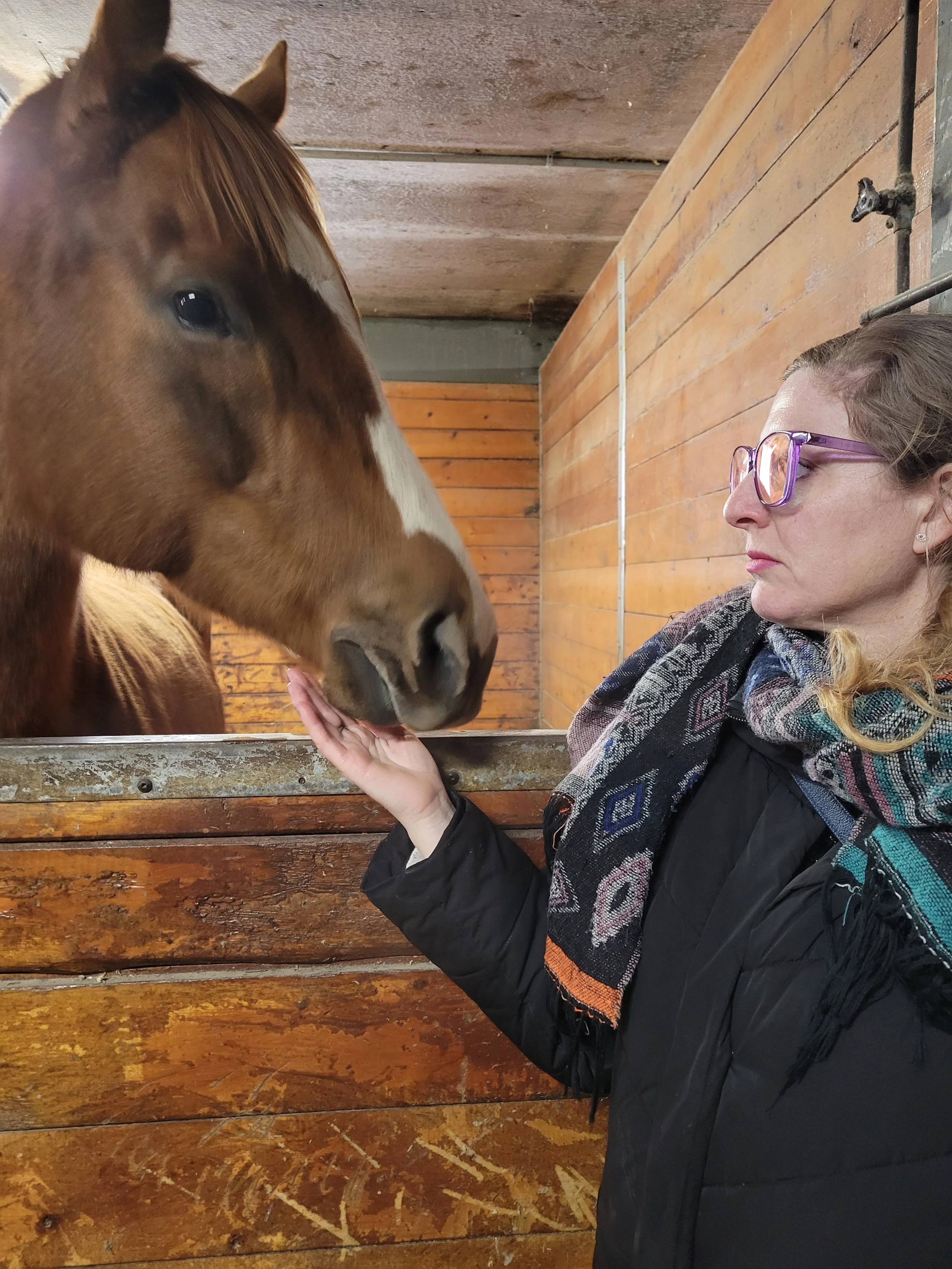 The Gentle Power of Horses Awakens the Light You Forgot You Had
