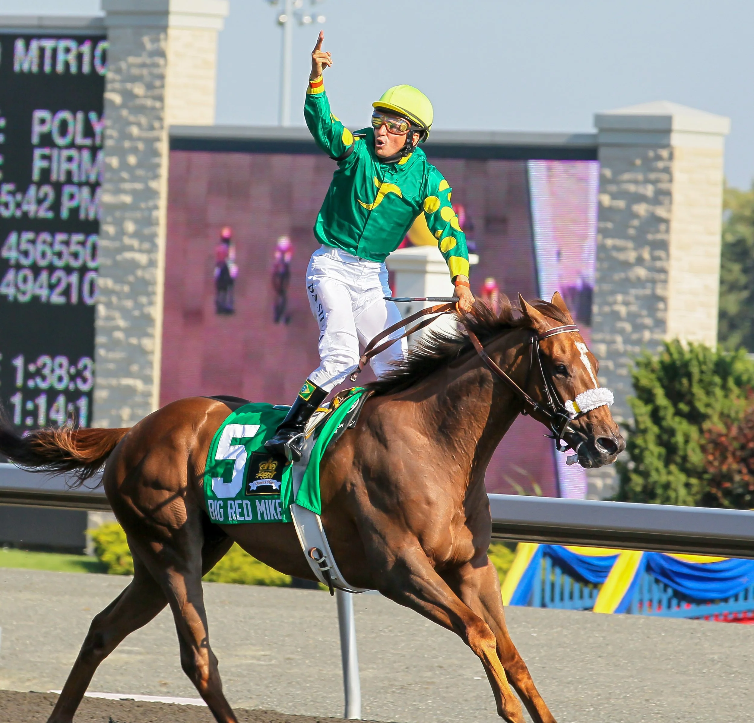 The Horse and the Invisible Battle No One Sees