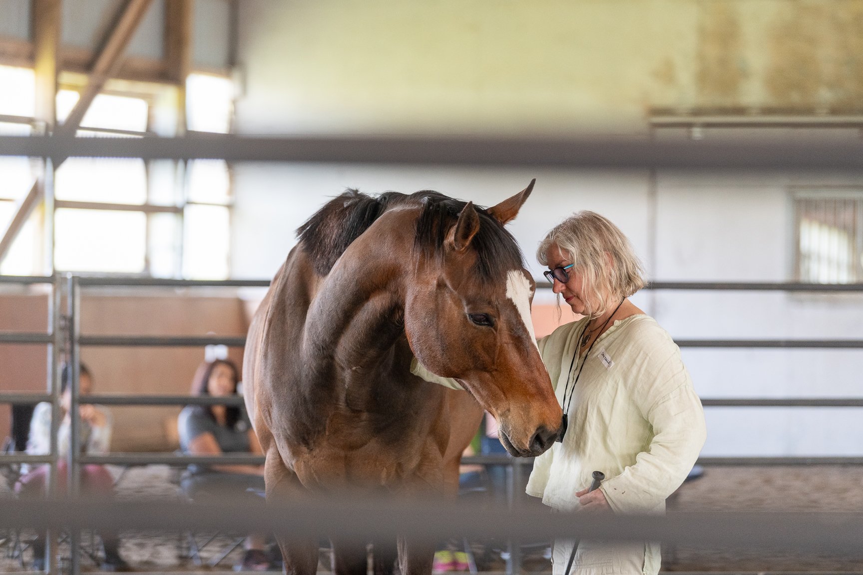 August 8, 2026 Sacred Equine Shamanic Workshop | 10:00 AM – 4:00 PM