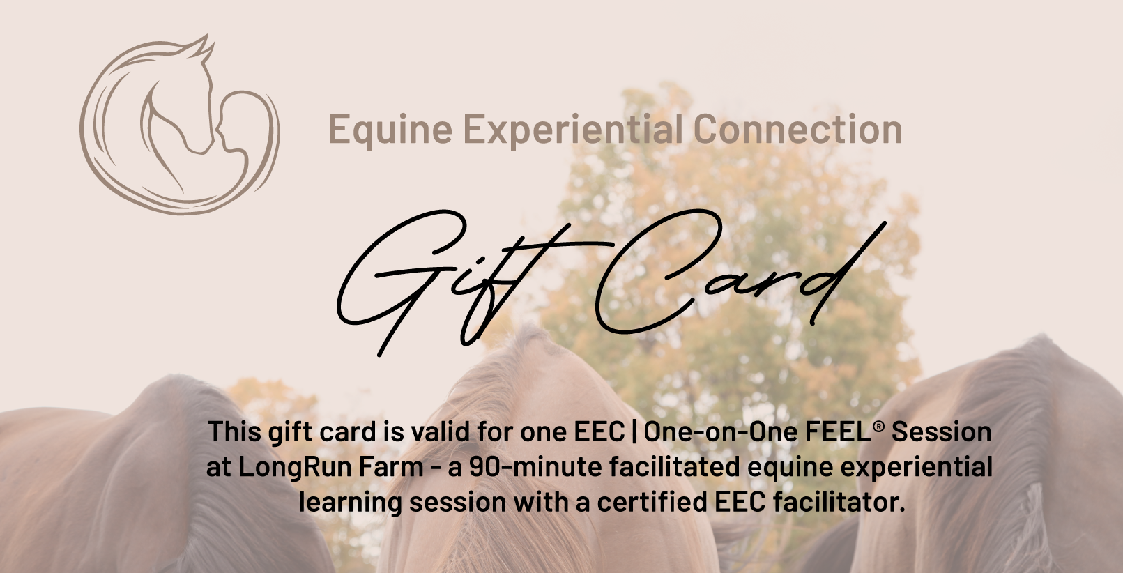 EEC | One-on-One FEEL® Session at LongRun Farm