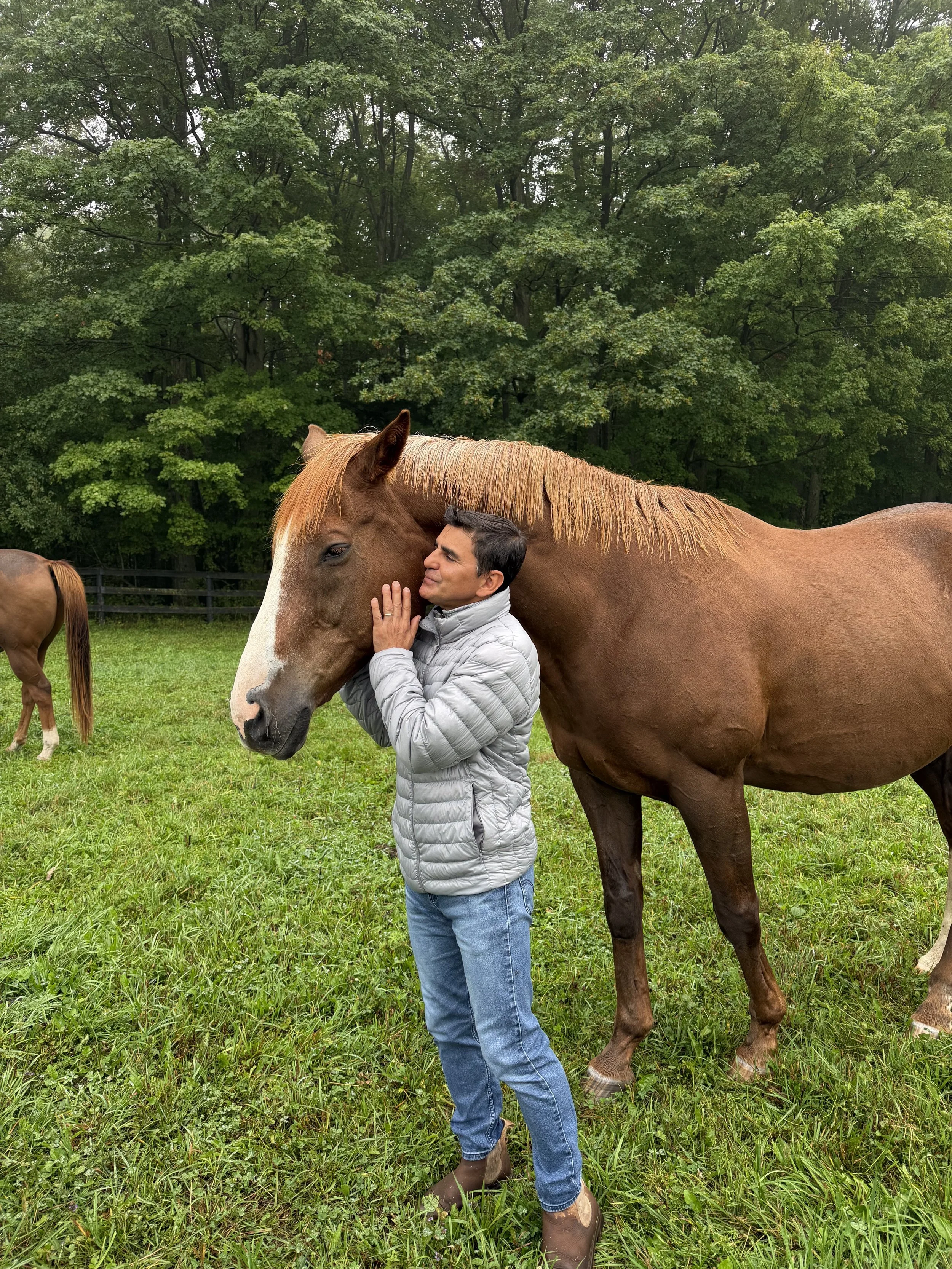 The Wound of Rejection: How Horses Helped Me Learn That I Was Enough