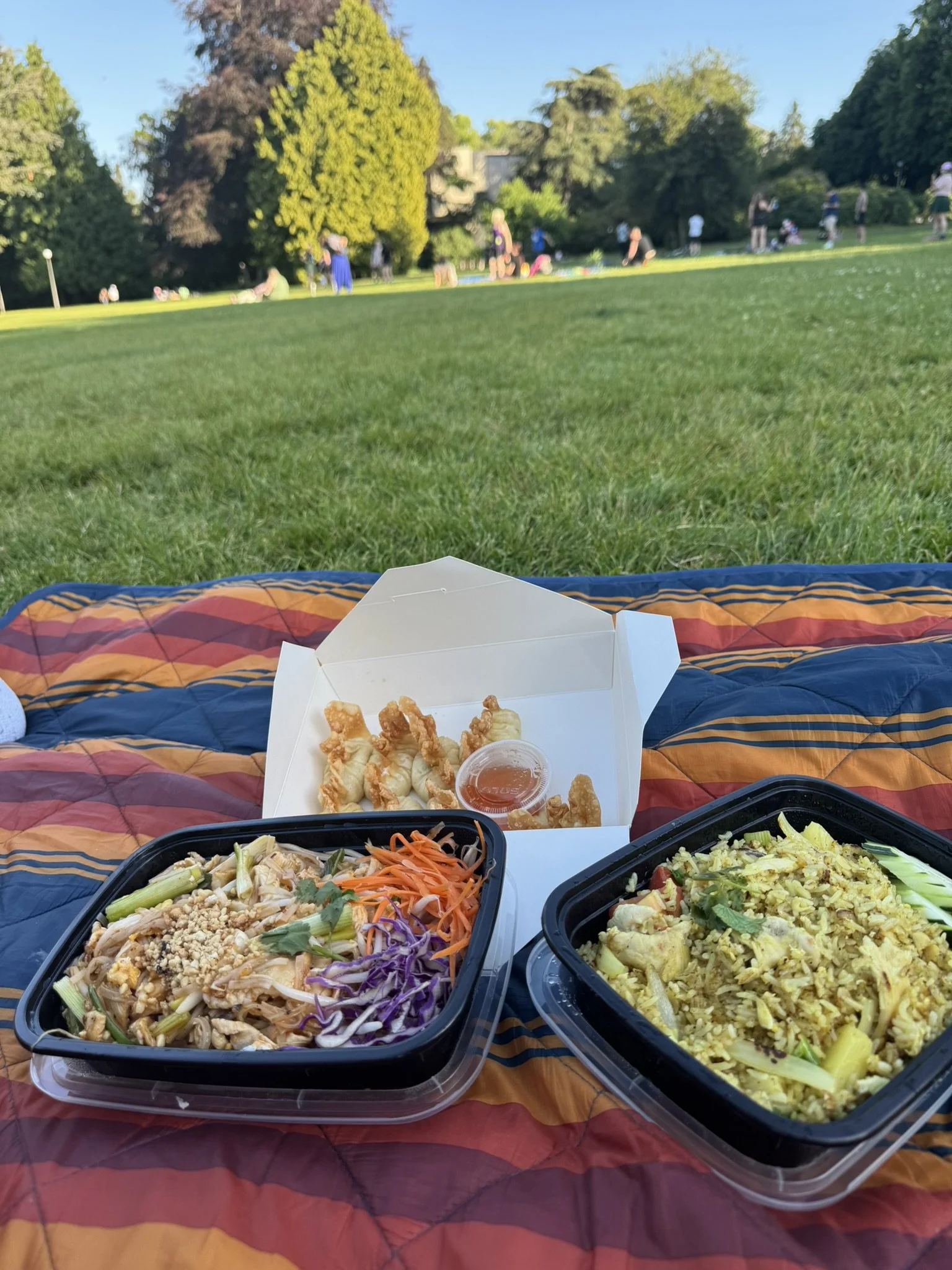 Picnic spread on a multicolored blanket in a park with two takeout containers containing Asian dishes, a small box of fried food with dipping sauce, and a background of green grass, trees, and people enjoying the outdoors.