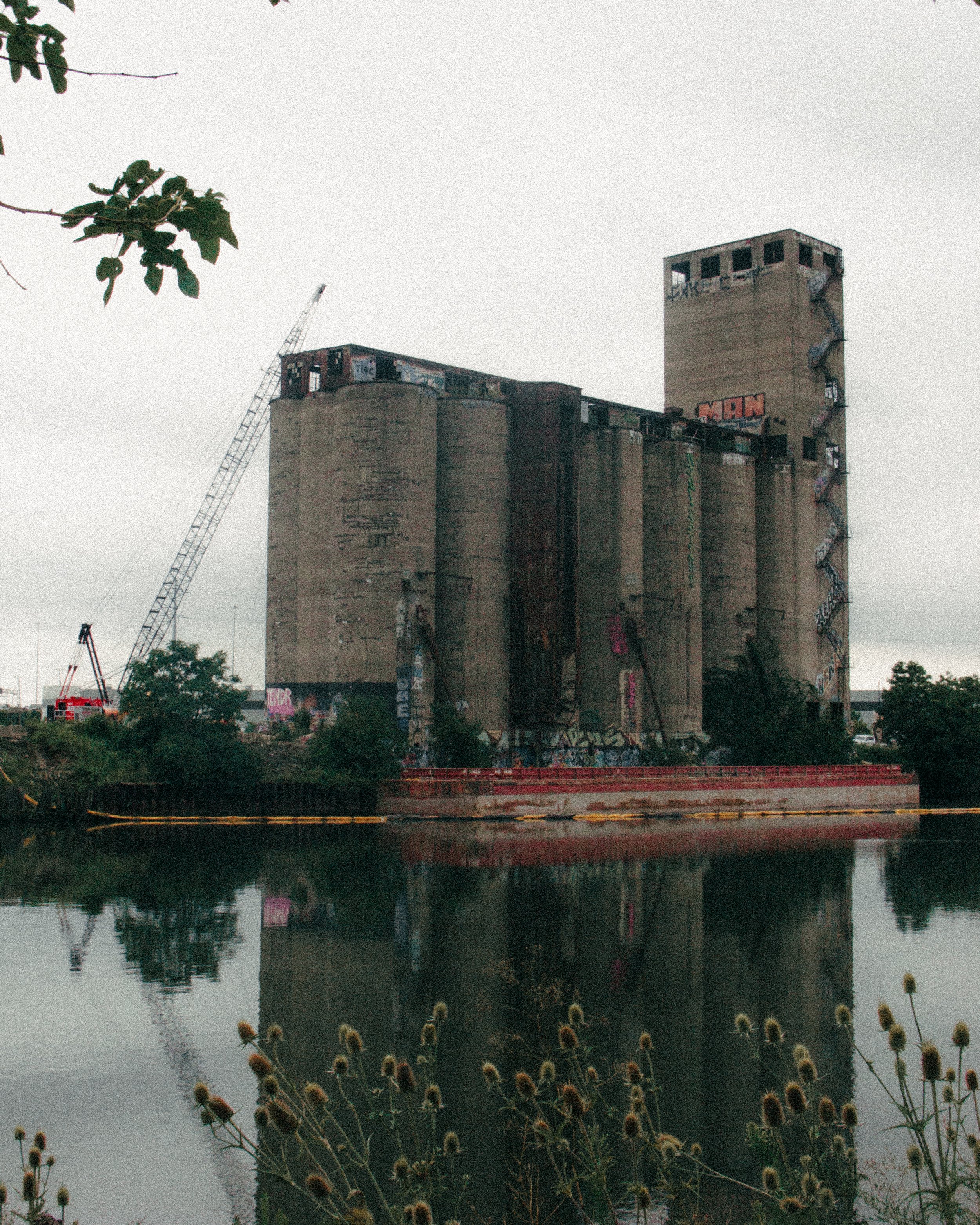 Abandoned industrial grain elevator with graffiti, reflected in a body of water, with overgrown plants in the foreground and a construction crane nearby.