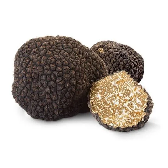 Fresh Black Winter Truffle