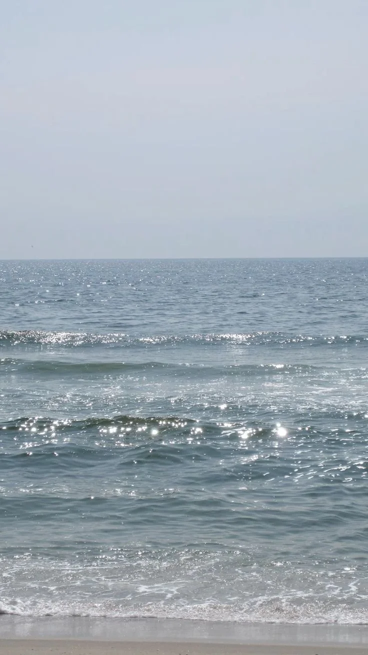 manifestation & law of attraction work