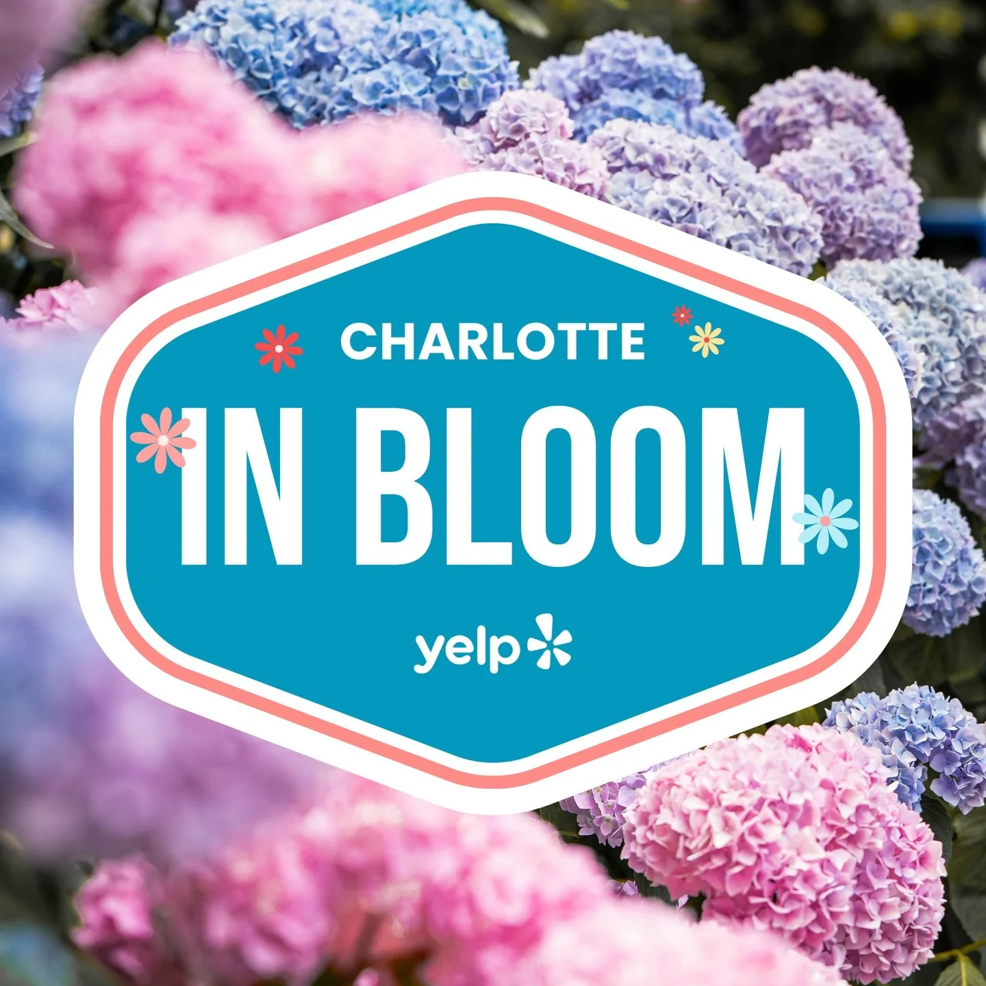 Join us and @yelpcharlotte at Charlotte in Bloom for incredible food and drinks,
interactive photo opportunities, live music, and fabulous florals. Let&rsquo;s celebrate and
give back together&mdash;proceeds support Freedom Communities! #CharlotteinB