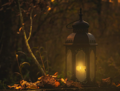 Tarot reading: A guiding light