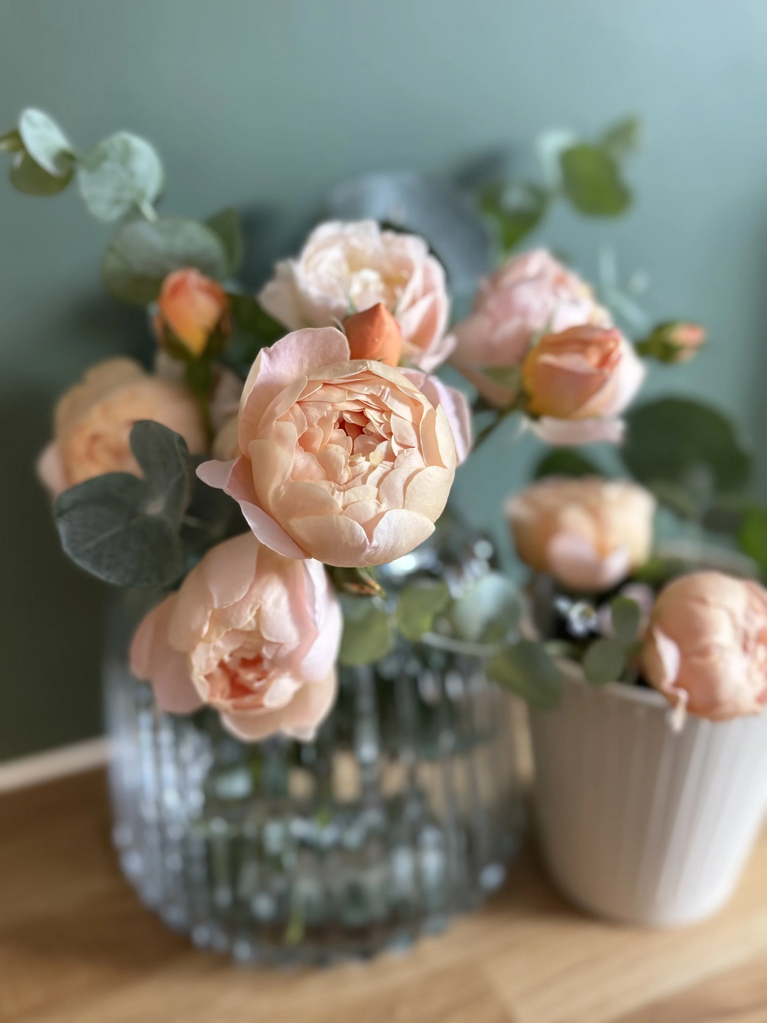 The Stunning David Austin Dannahue Rose with Eucalyptus