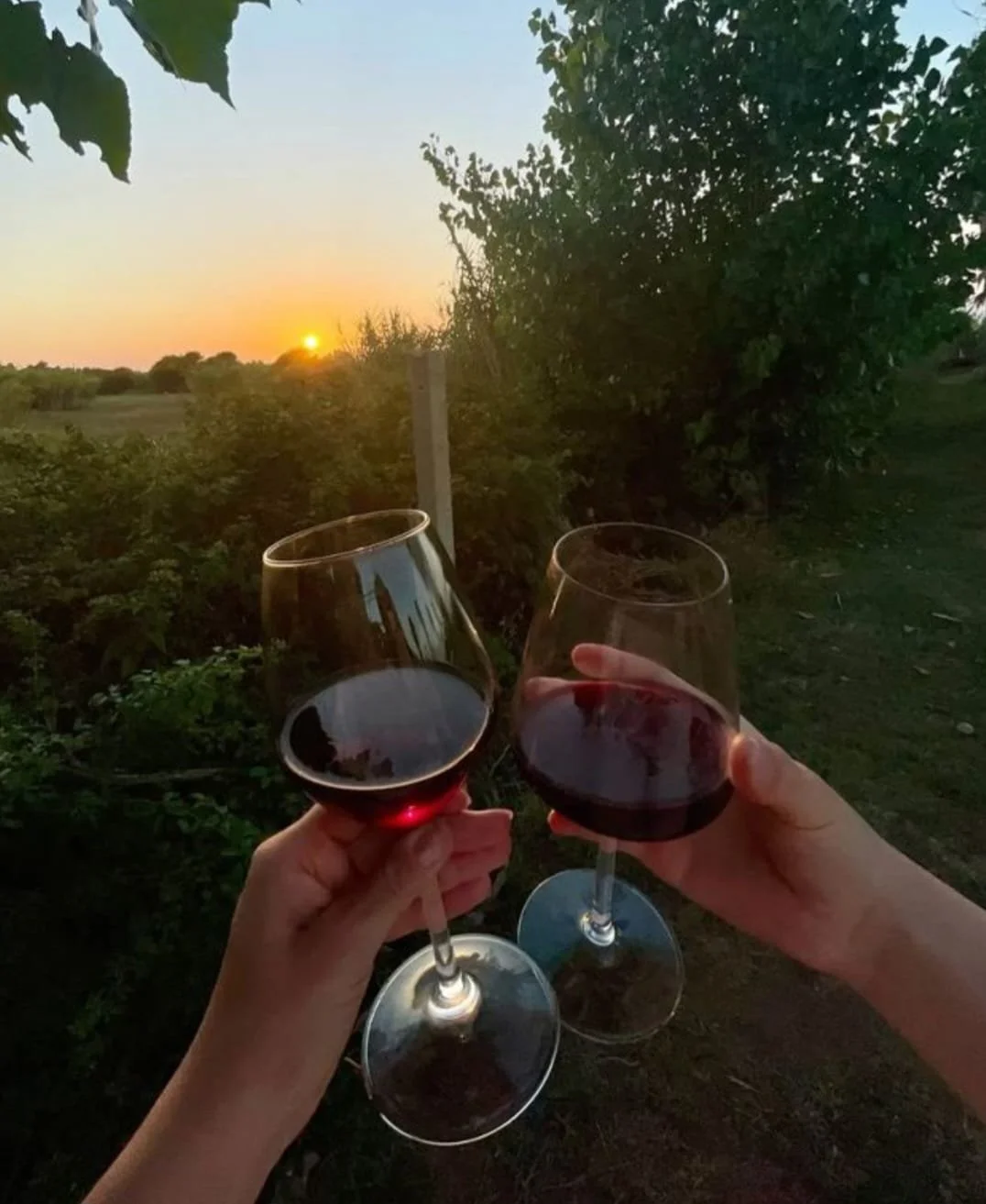 WhatsApp Image 2026-01-22 at 20.50.51.jpeg