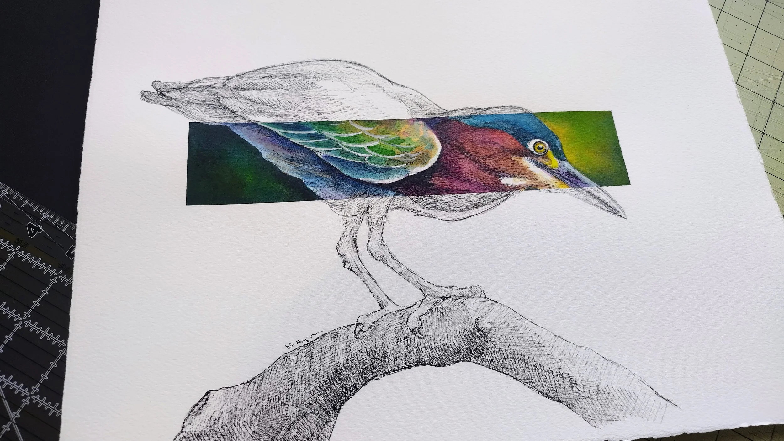 original bird artwork