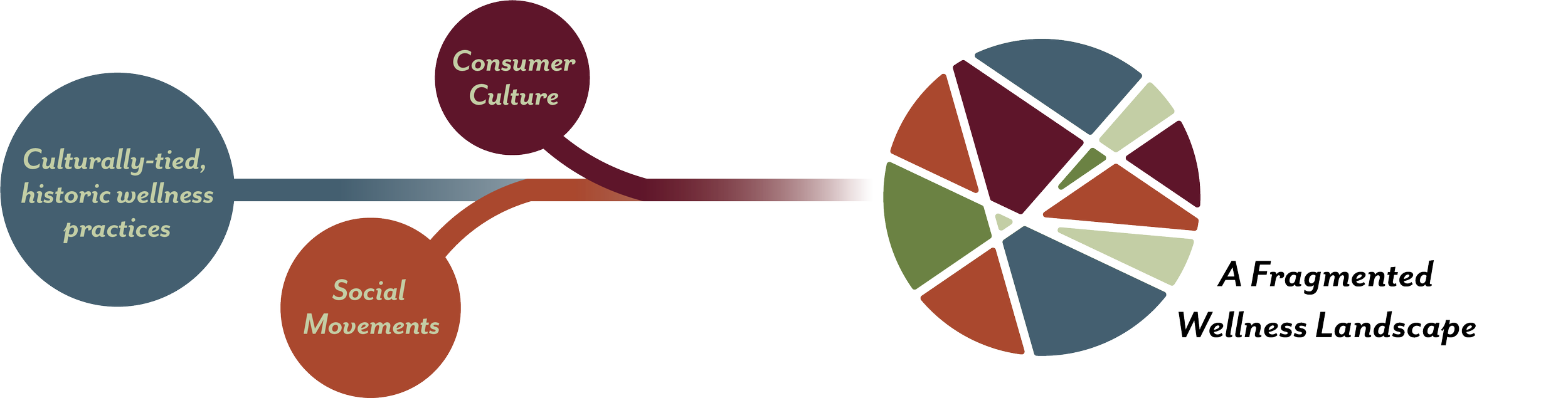 A diagram titled 'A Fragmented Wellness Landscape' depicting a network of interconnected circles and a pie chart, illustrating cultural ties, wellness practices, social movements, and their relationships.