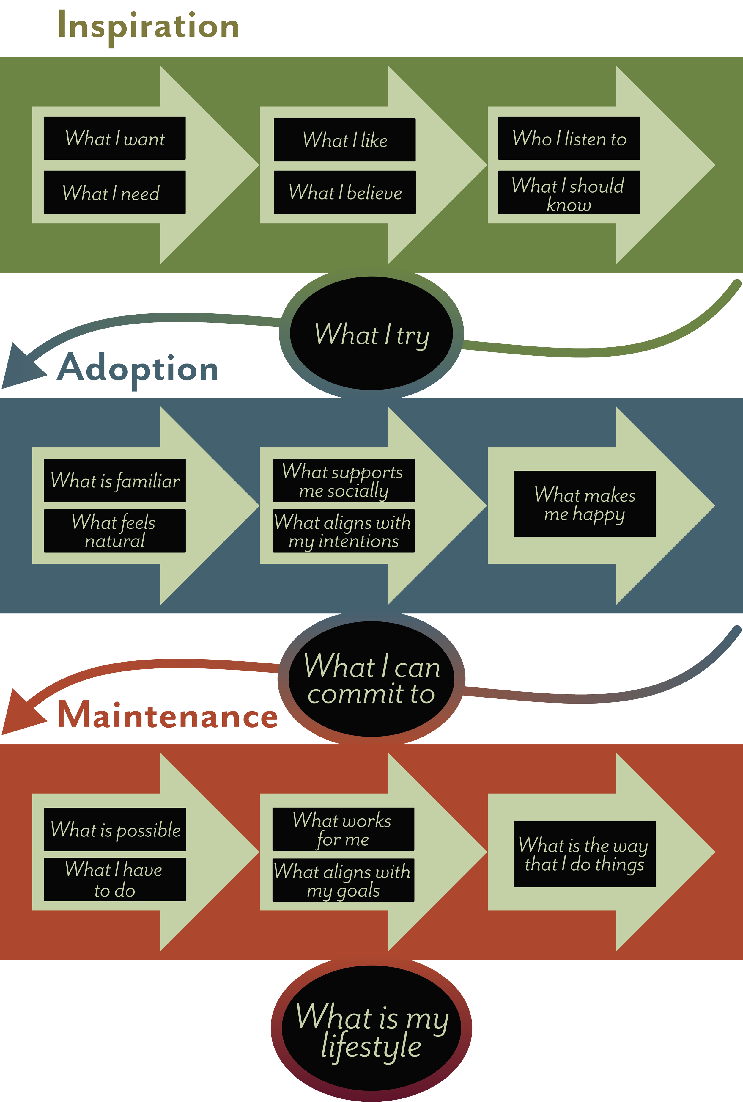 A flowchart illustrating a framework for personal development with sections titled 'Inspiration', 'Adoption', 'Maintenance', and 'What is my lifestyle', each with guiding questions and key concepts, all on a background of green, blue, and red sections.