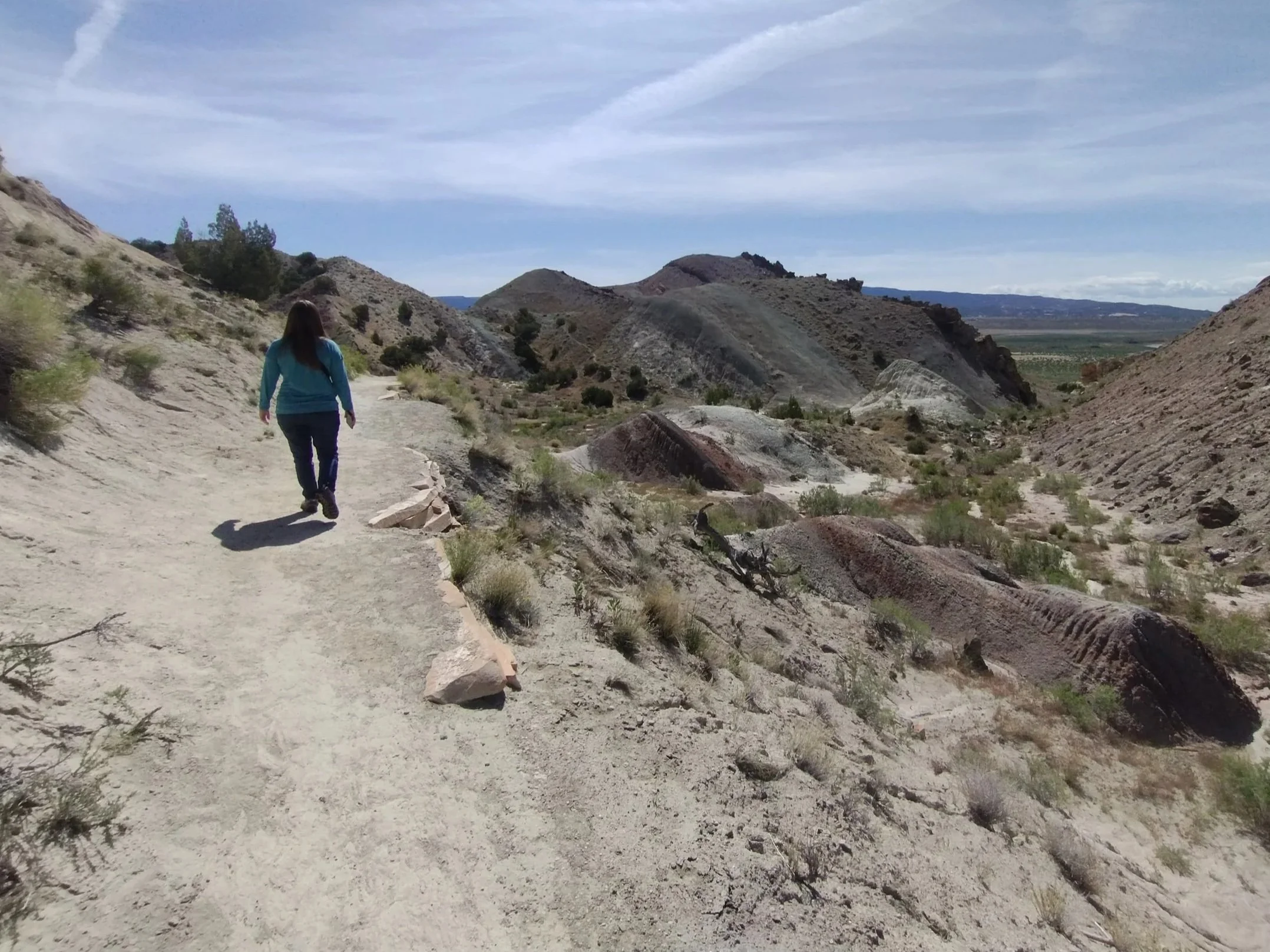 The Power of Small Wins: How Tiny Victories Lead to Big Change