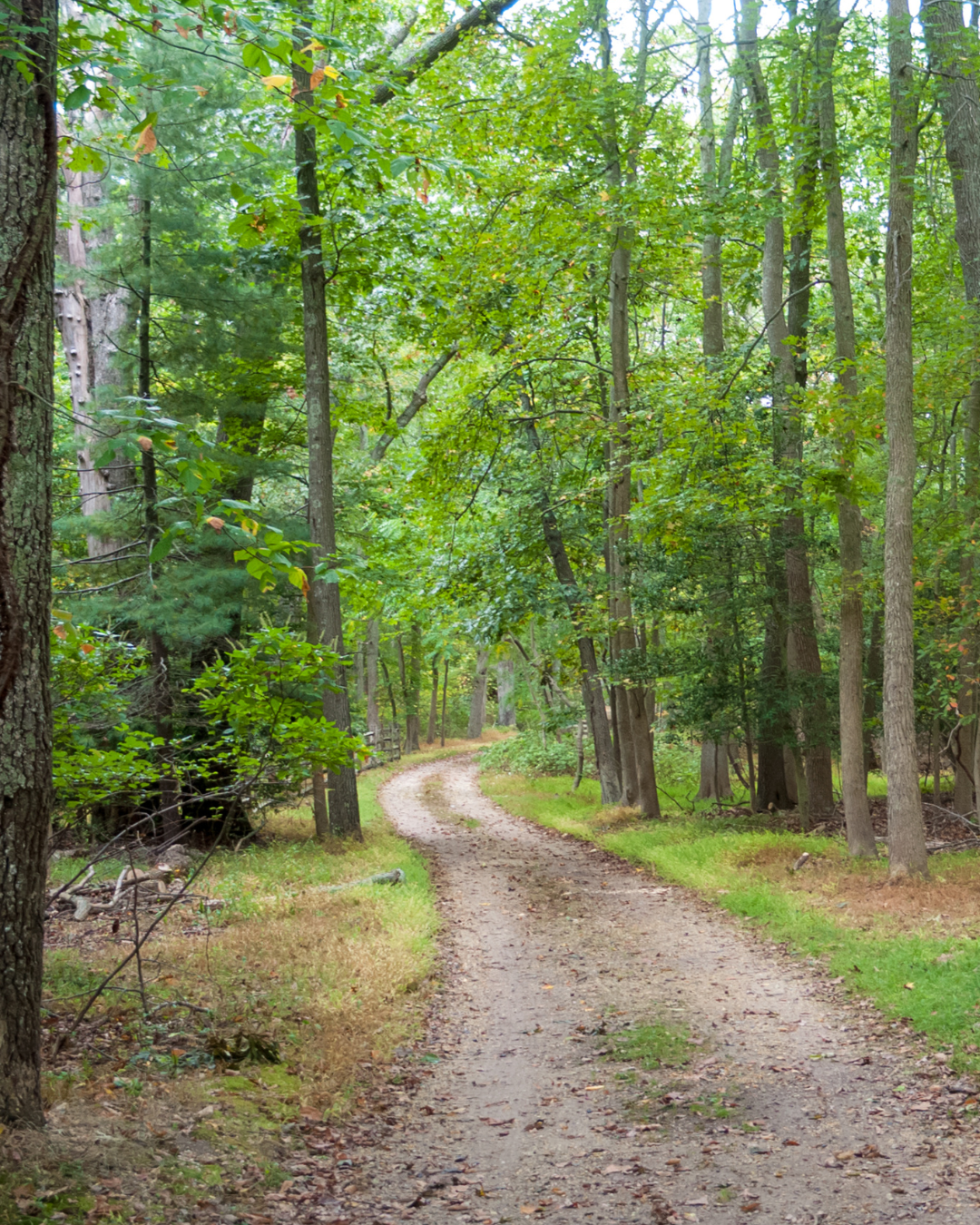 The Clarity Path
